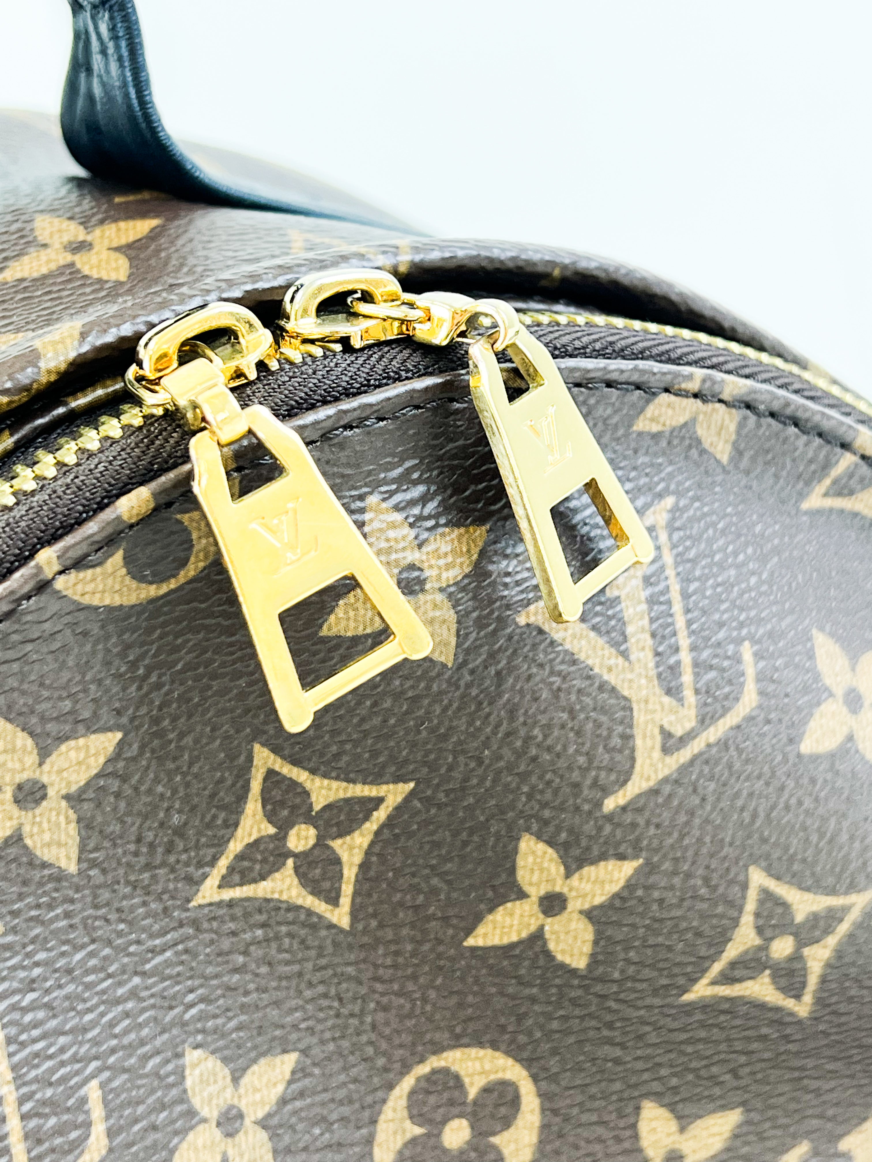 Louis Vuitton Palm Springs PM Monogram