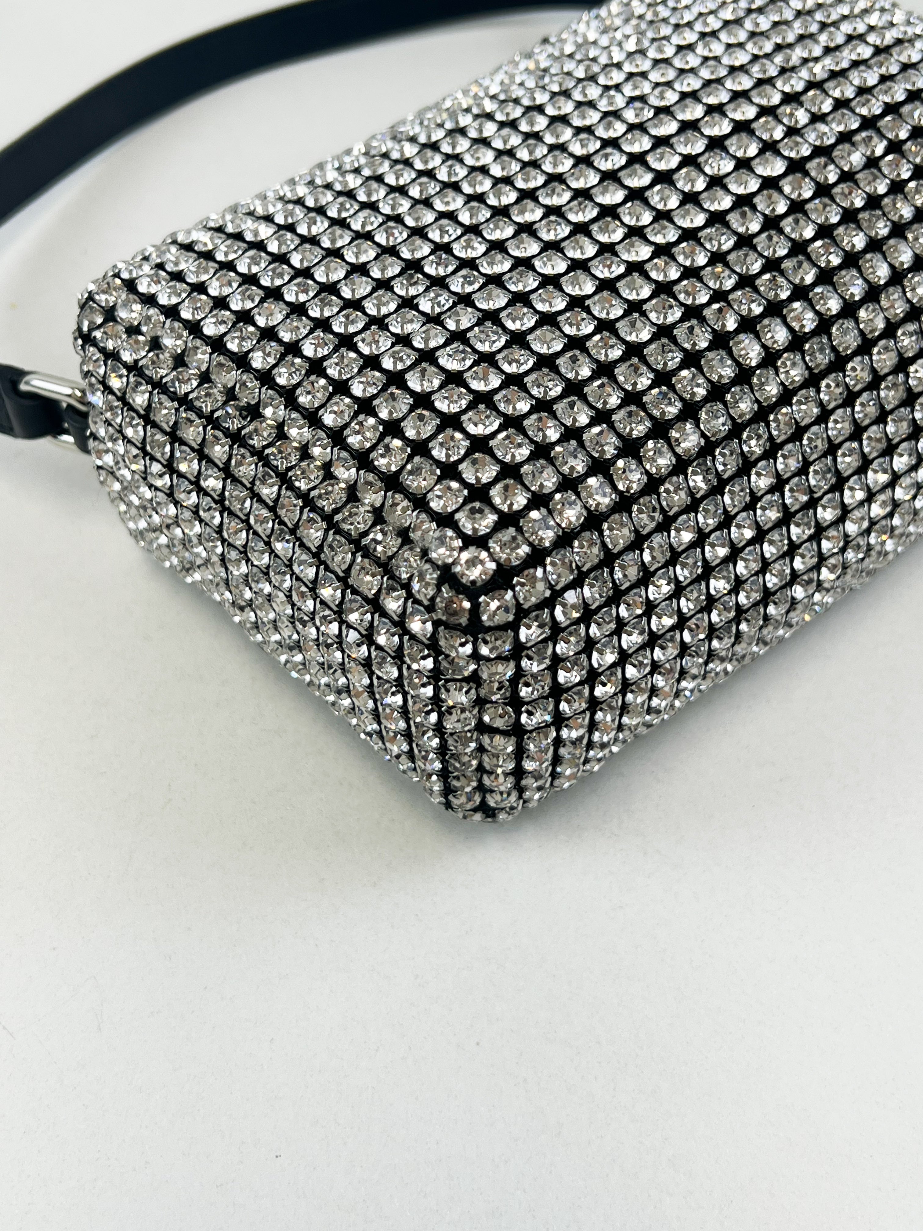 Alexander Wang Heiress pouch