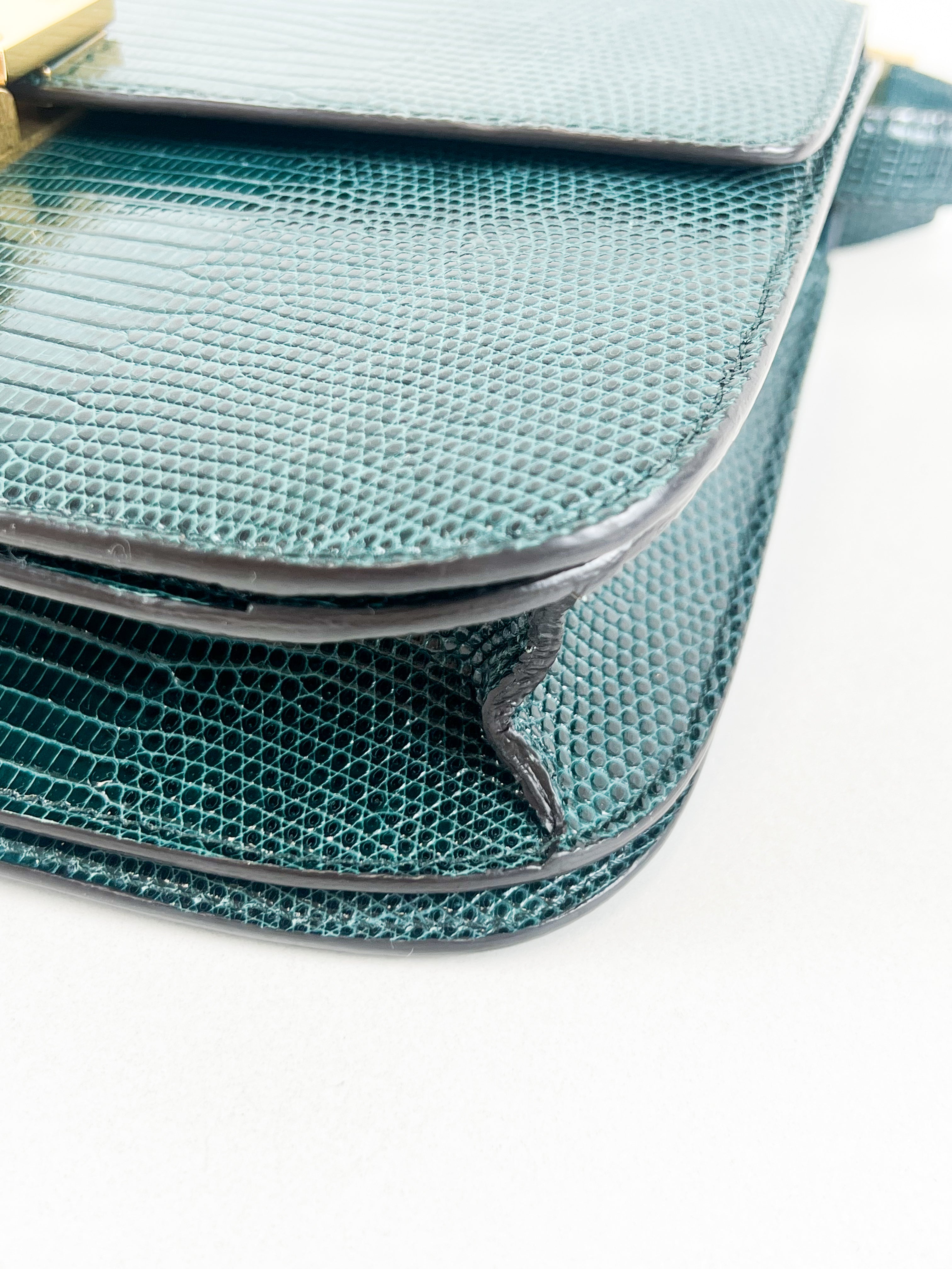 Celine Medium Classic Box Flap Bag in Emerald Lizard Leather