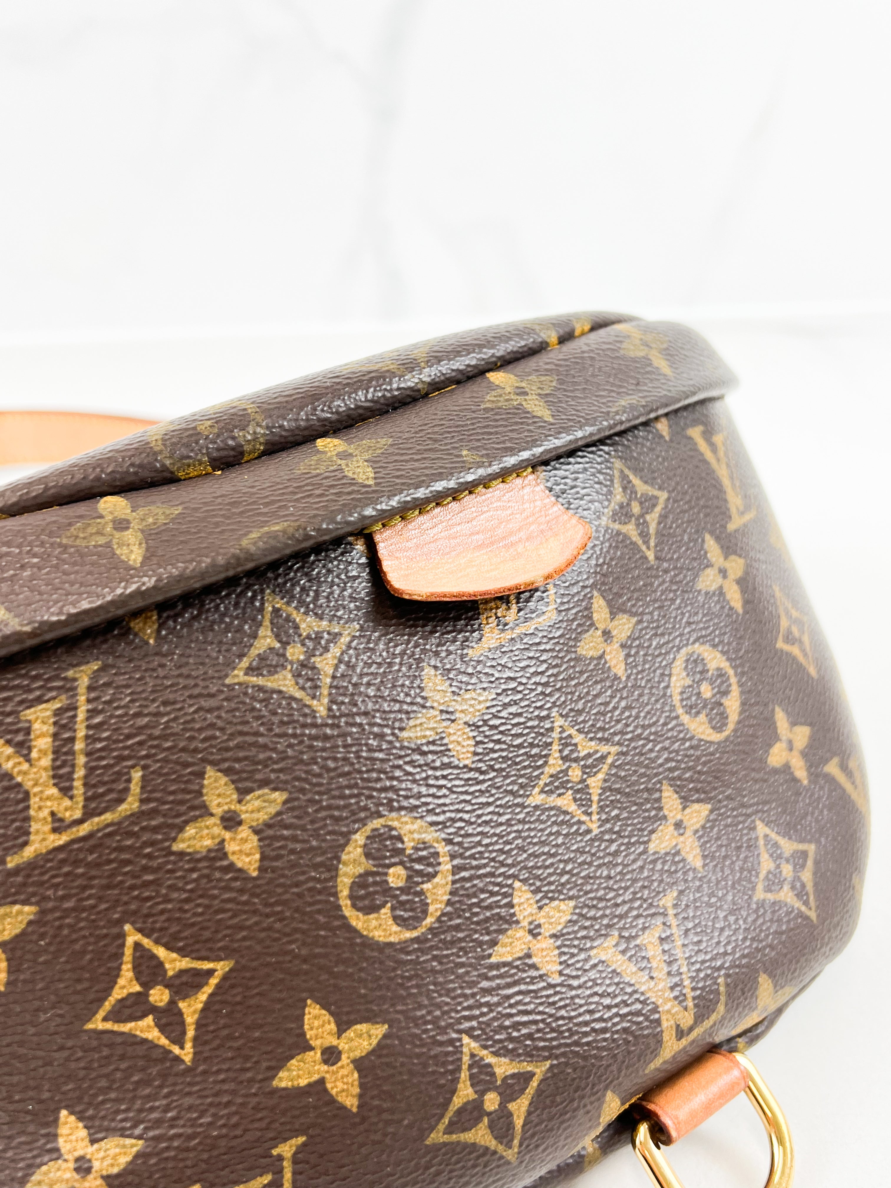 Louis Vuitton Monogram Canvas Bumbag