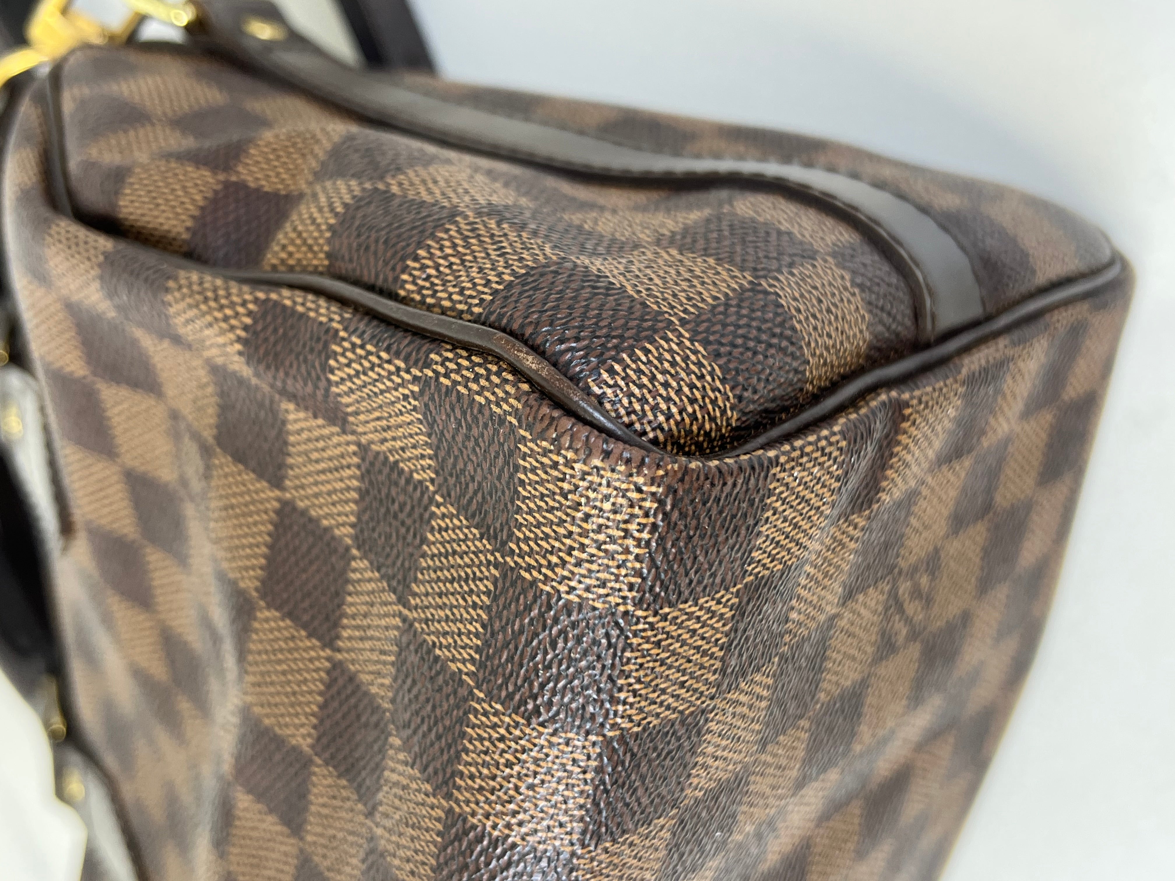 Louis Vuitton Speedy 25 Damier Ebene