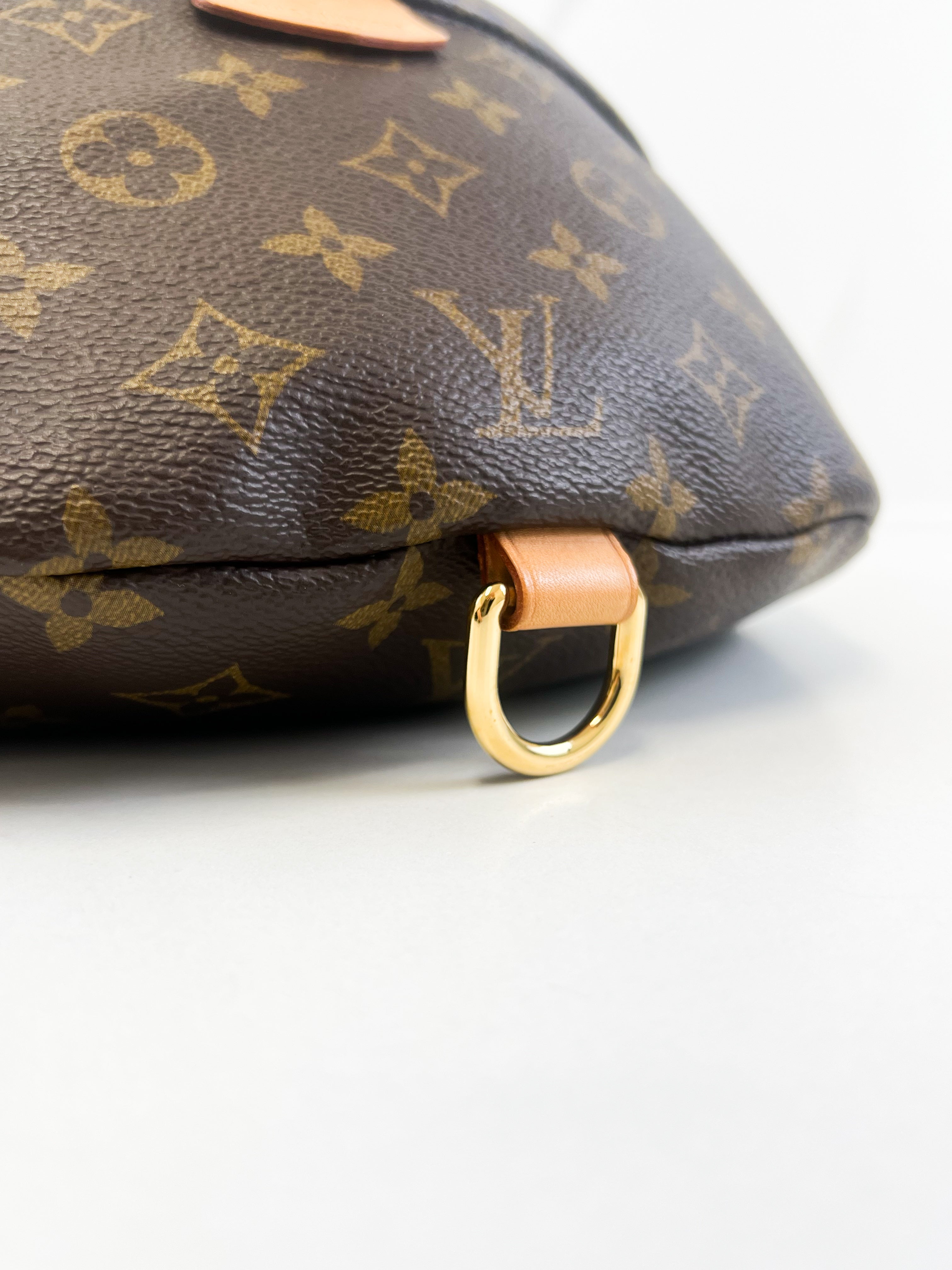 Louis Vuitton Monogram Canvas Bumbag