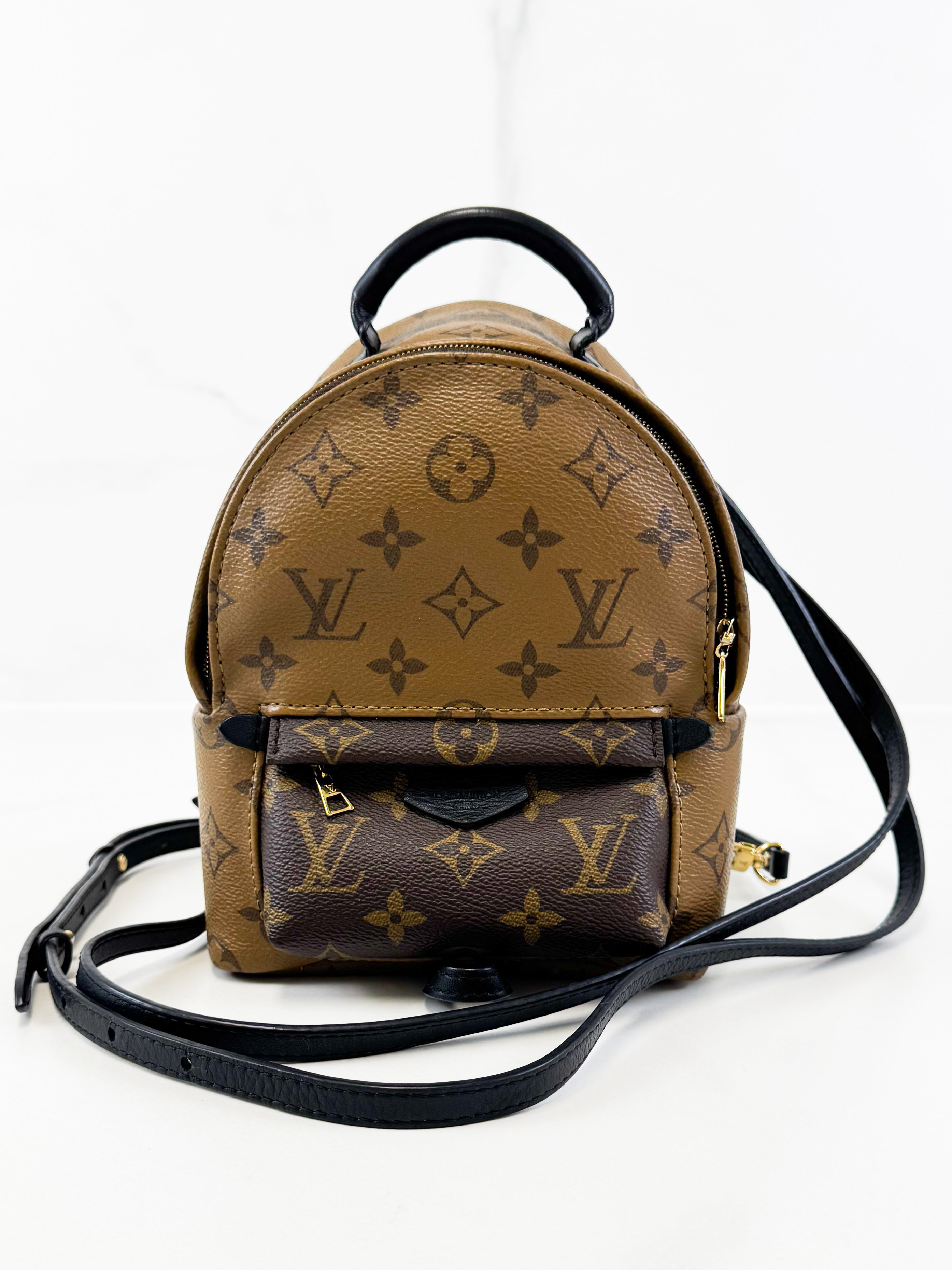 Louis Vuitton Reverse Palm Springs Mini Backpack