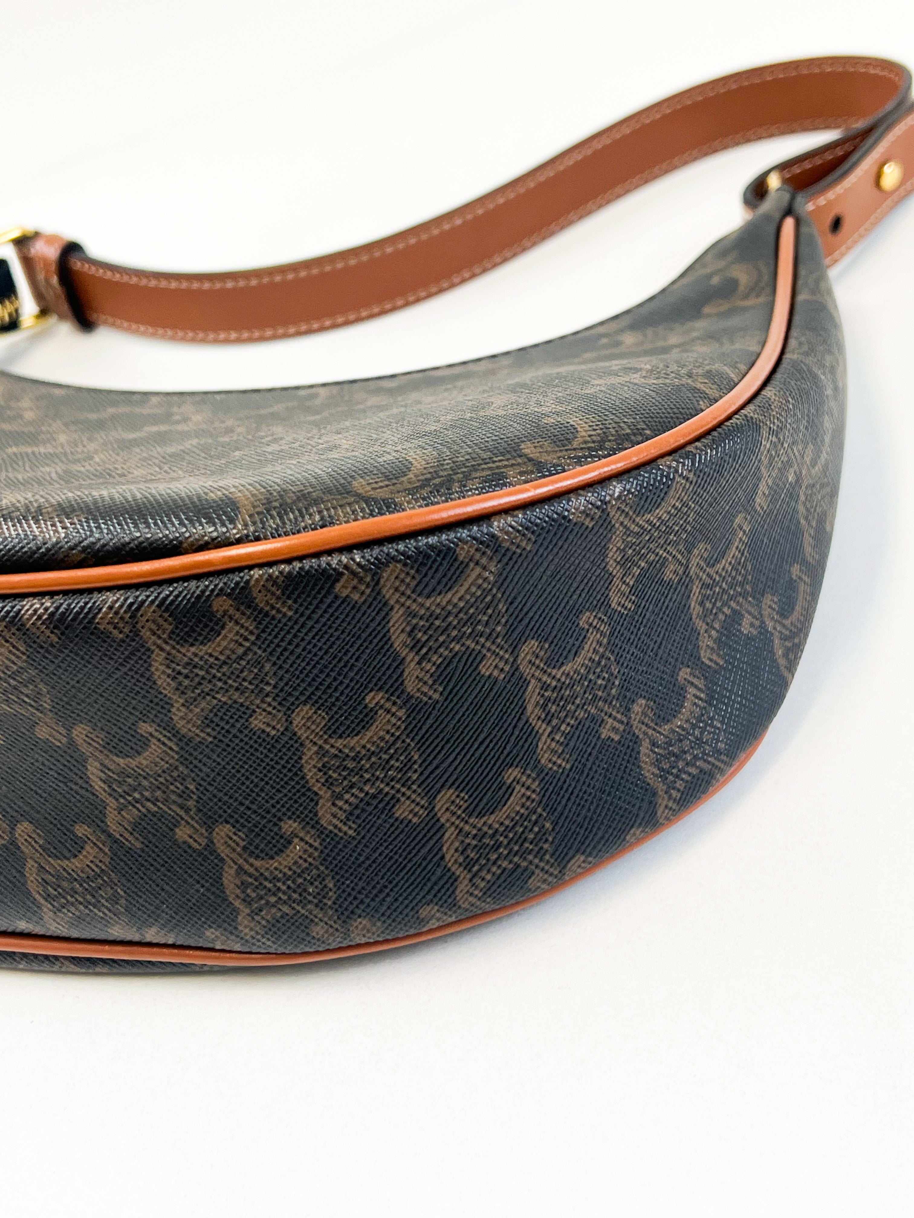 Celine Medium Ava Bag in Triomphe Canvas & Calfskin