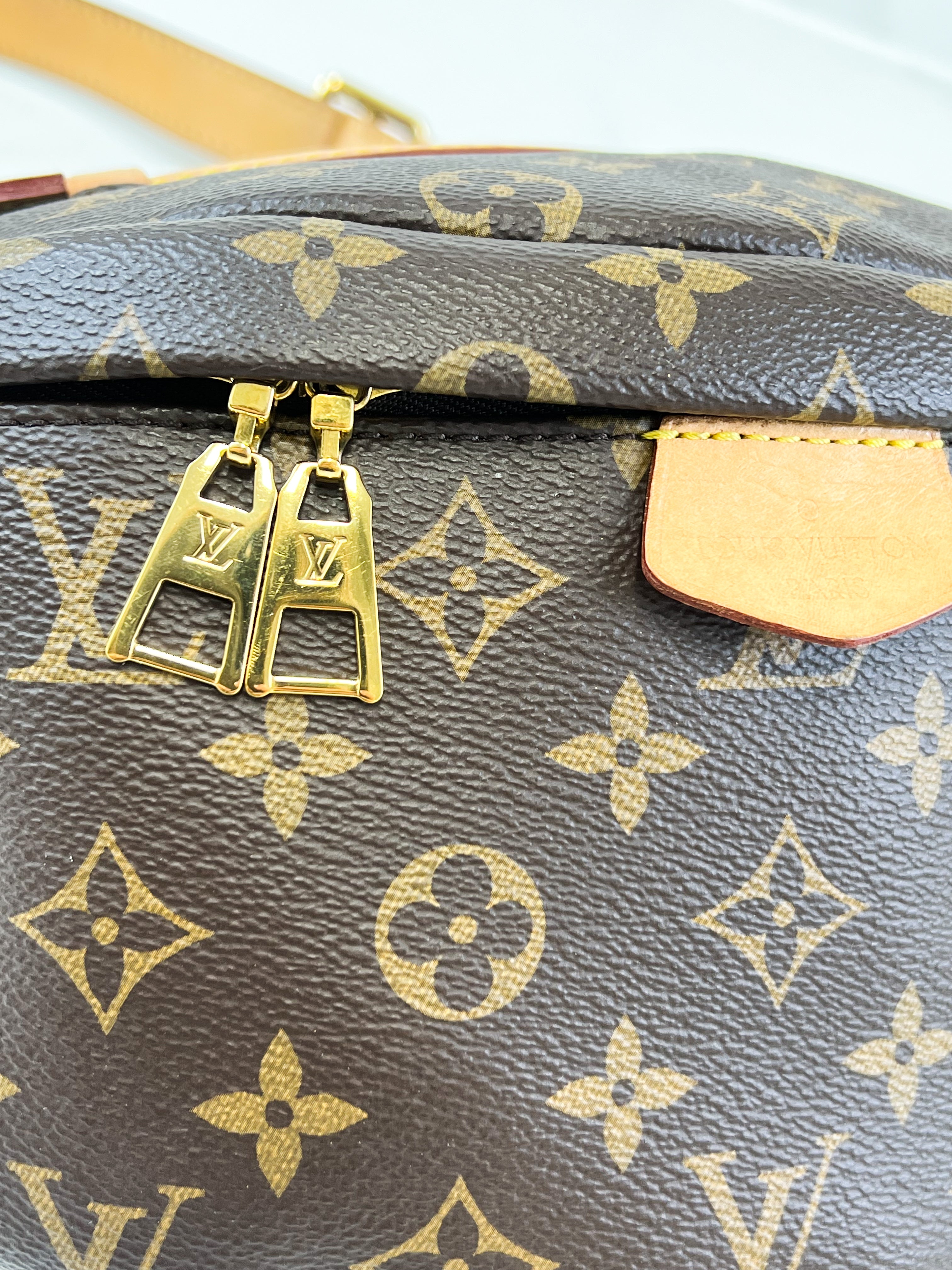 Louis Vuitton Monogram Canvas Bumbag