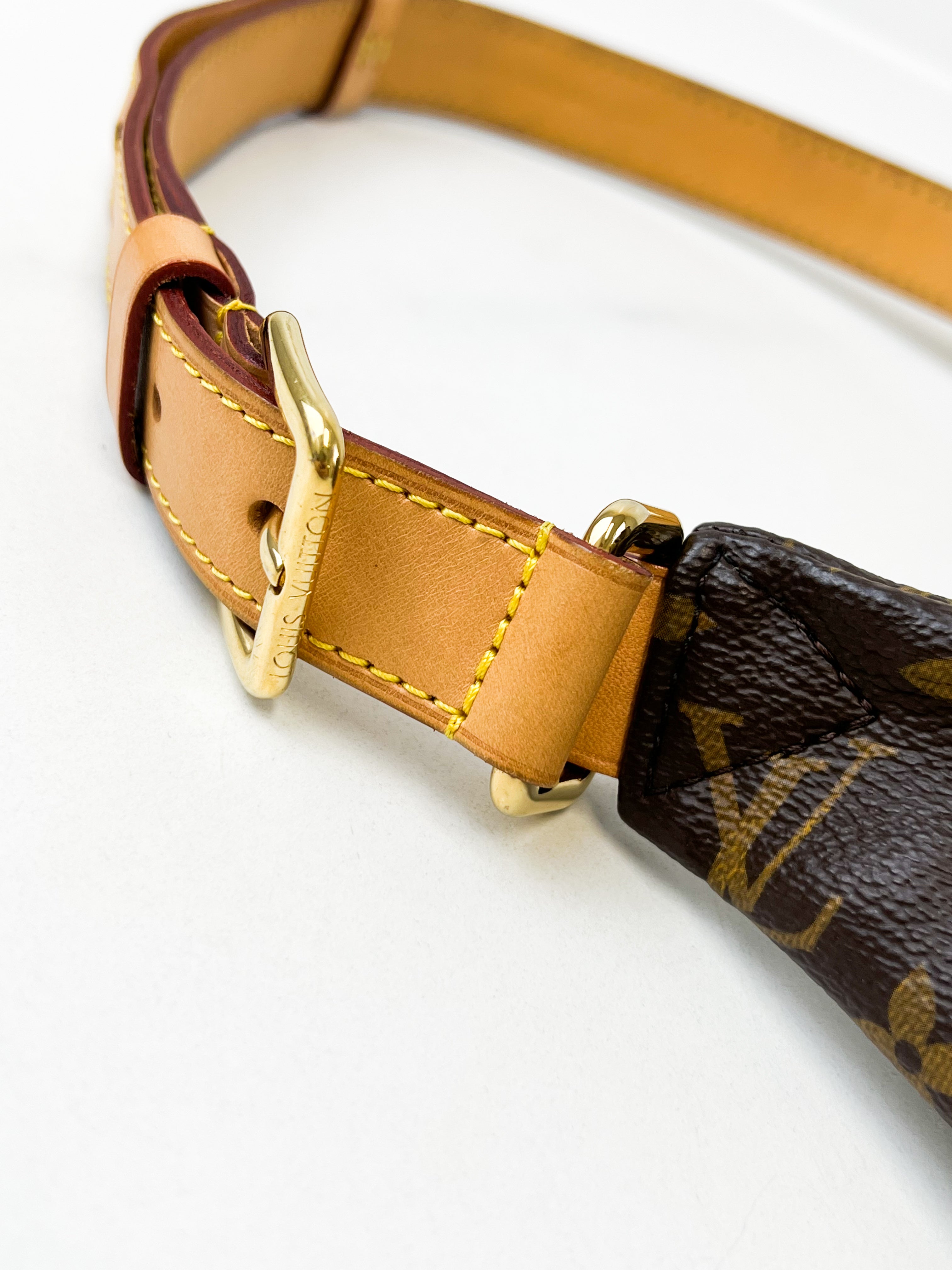 Louis Vuitton Monogram Canvas Bumbag
