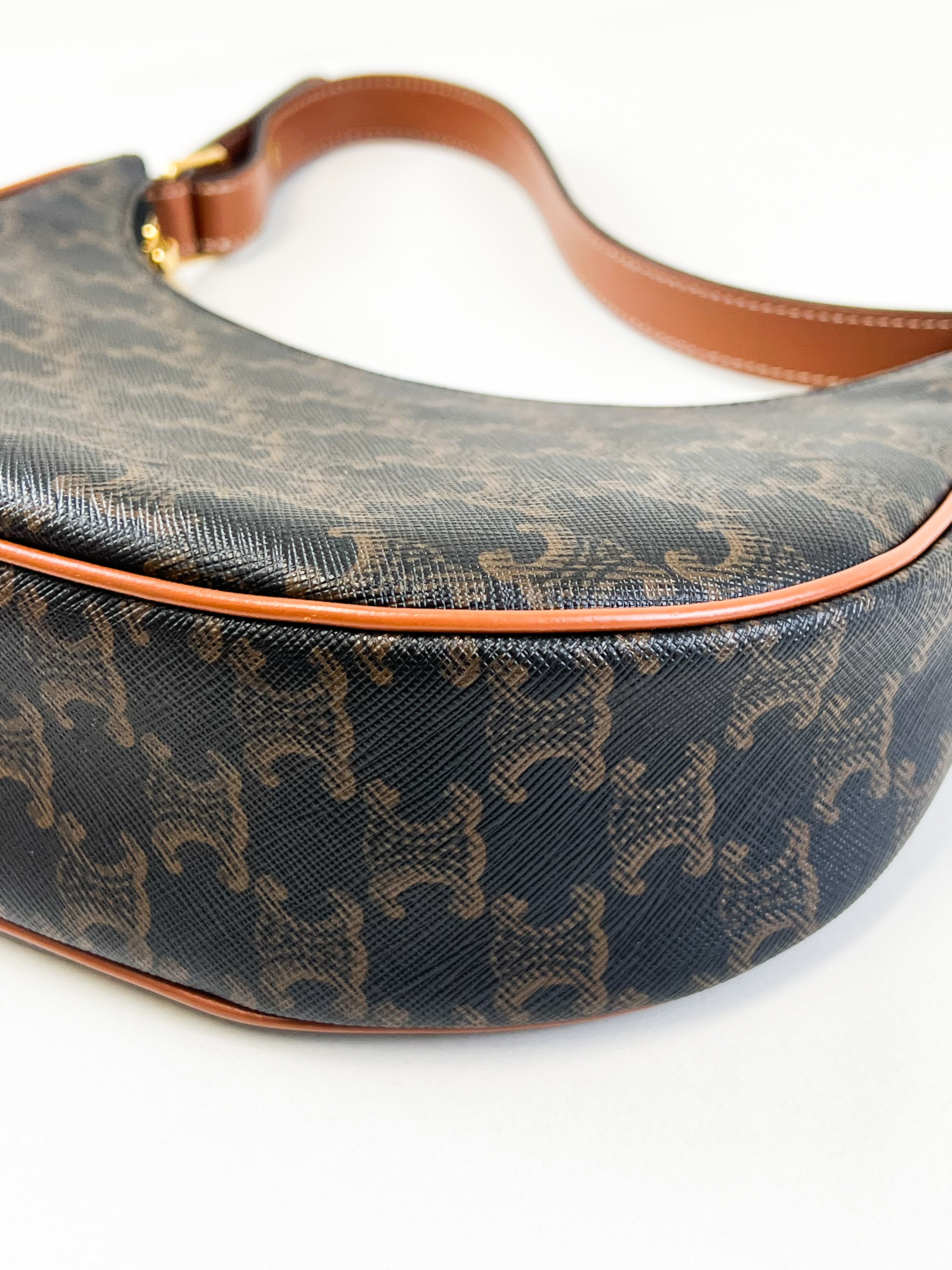 Celine Medium Ava Bag in Triomphe Canvas & Calfskin