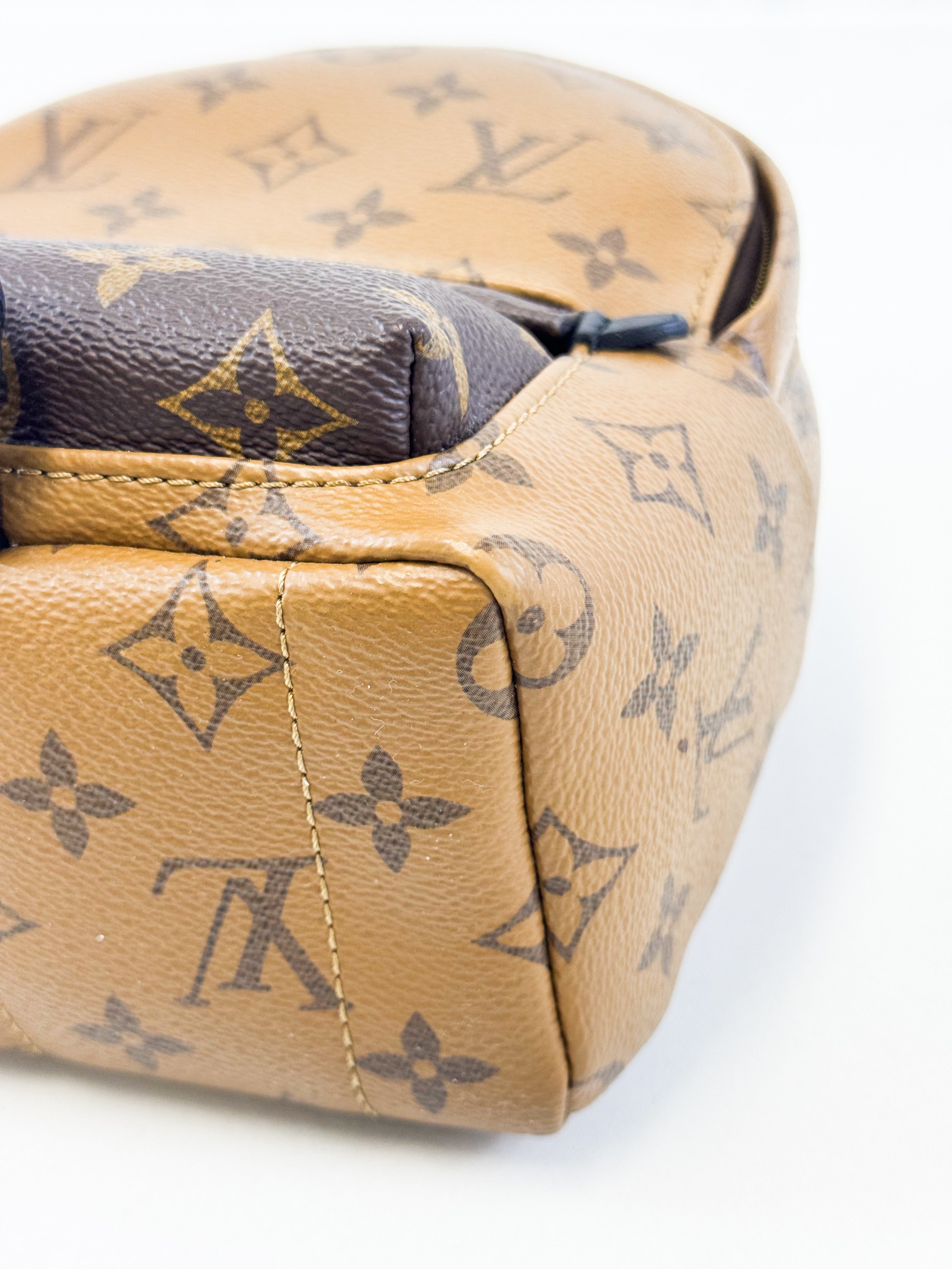 Louis Vuitton Reverse Palm Springs Mini Backpack