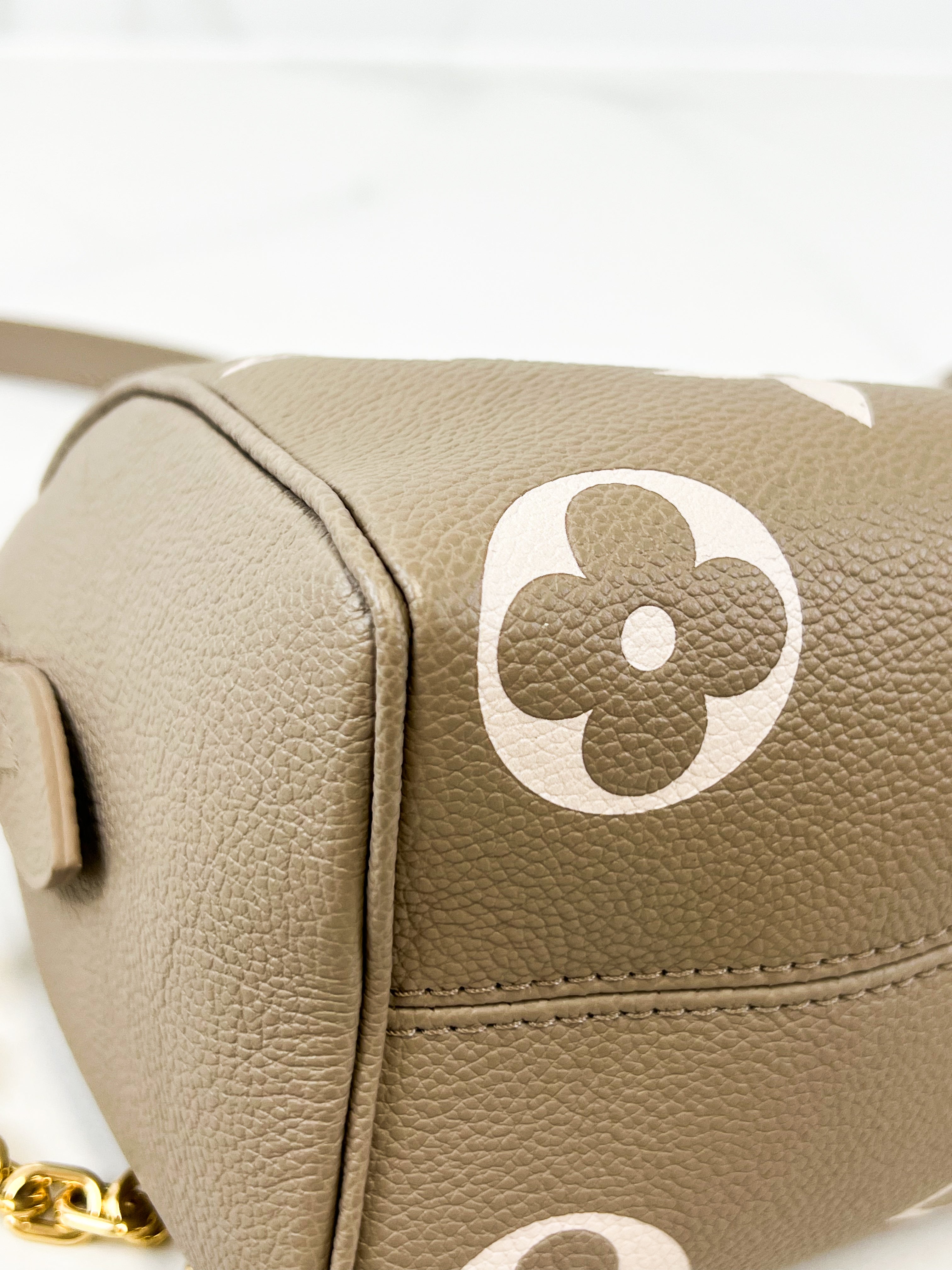 Louis Vuitton Speedy Bandoulière 20 in Tourterelle Crème