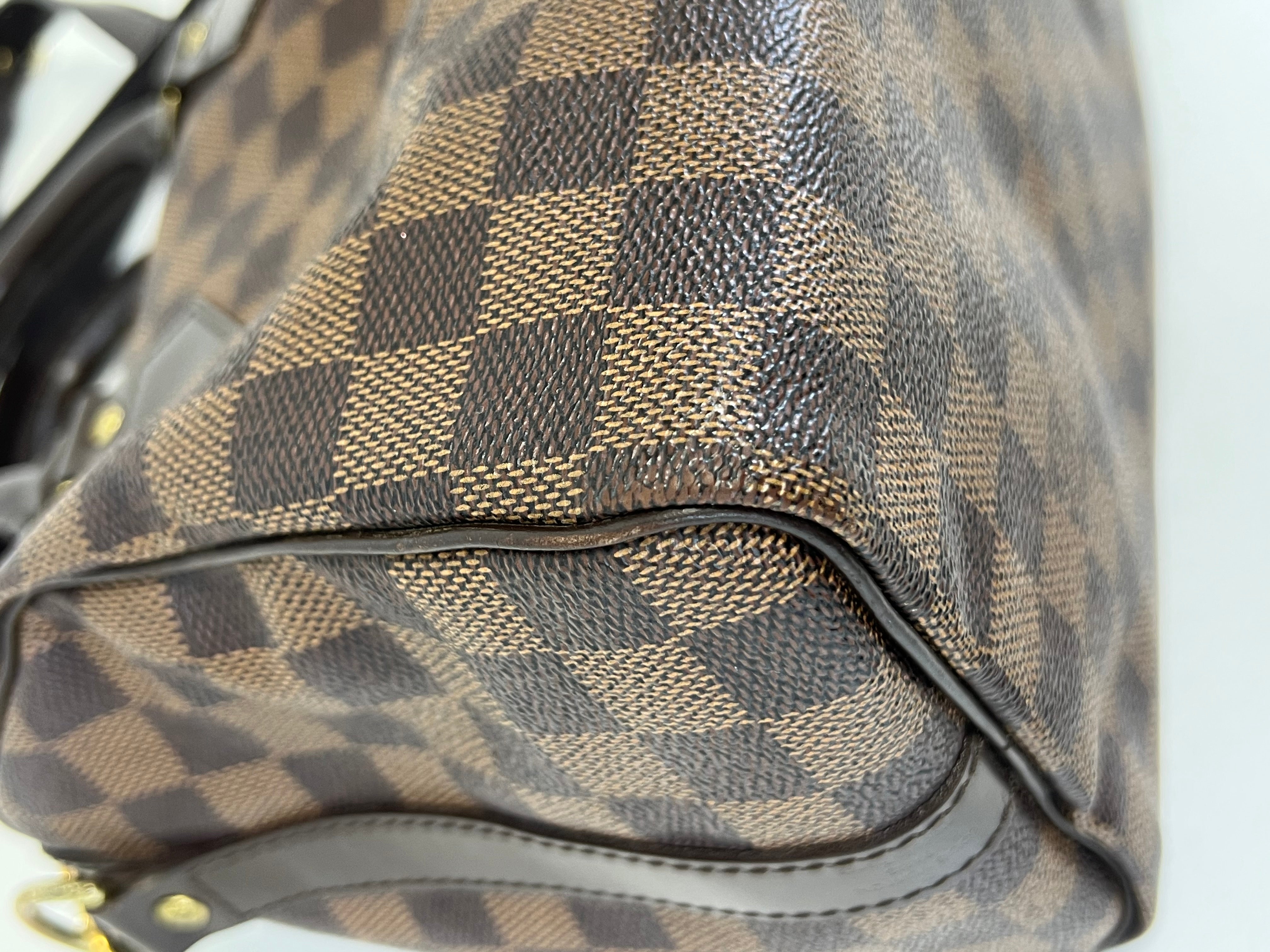 Louis Vuitton Speedy 25 Damier Ebene