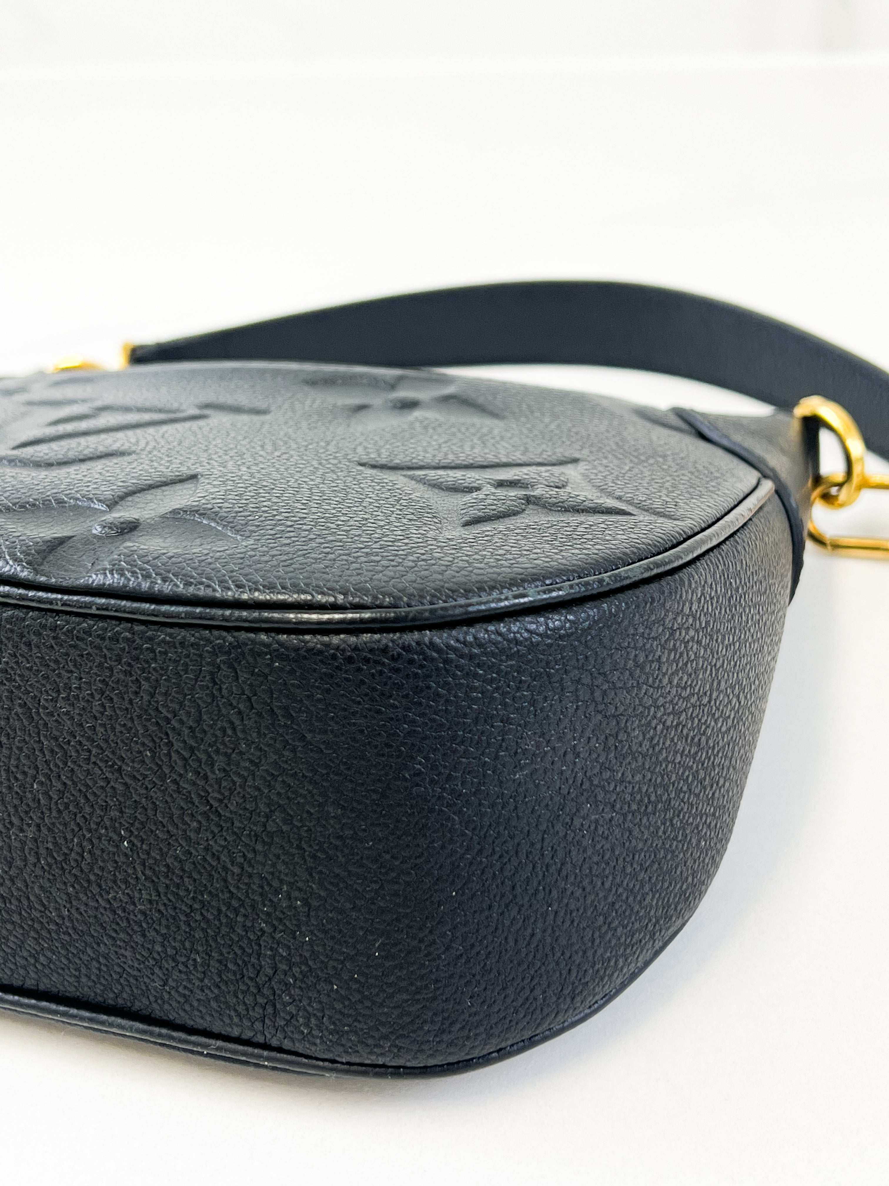 Louis Vuitton Moon Monogram Empreinte Leather Bag