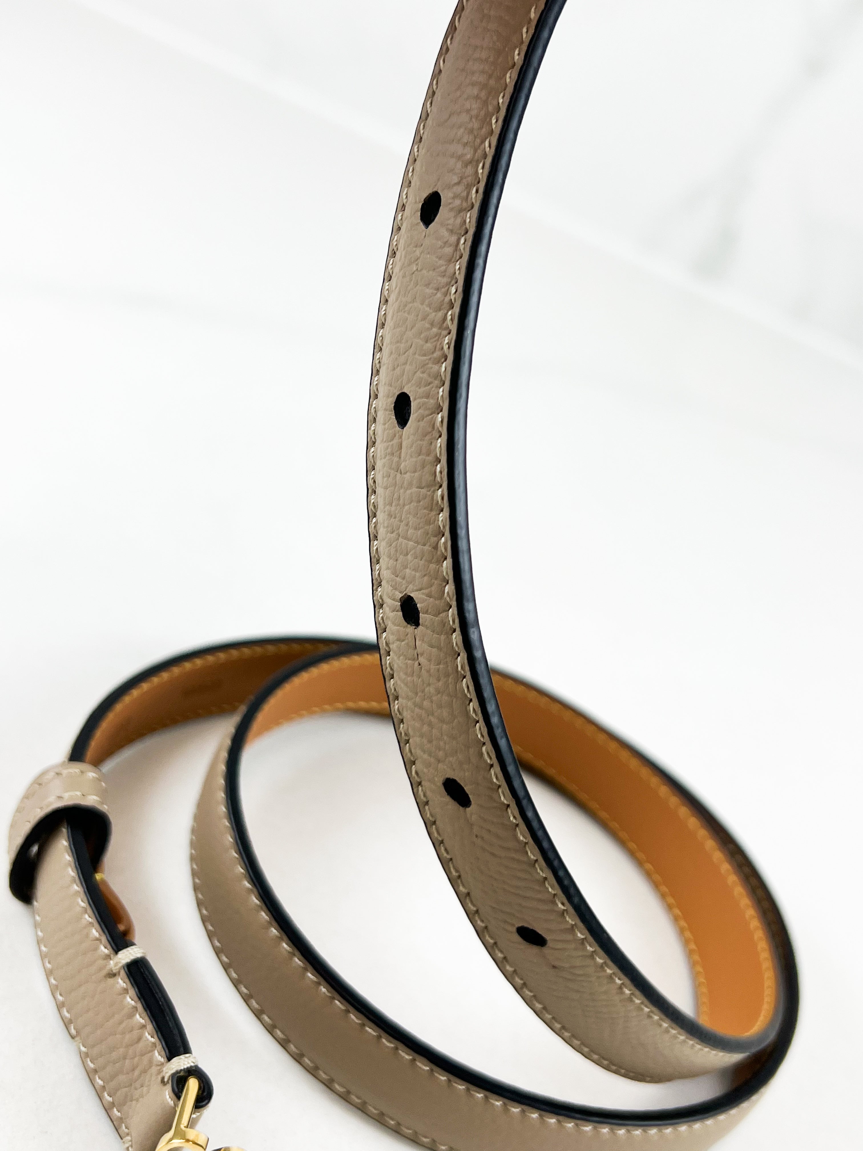 Loewe Anagram Belt 32mm in Beige/Grey with GHW Size 80