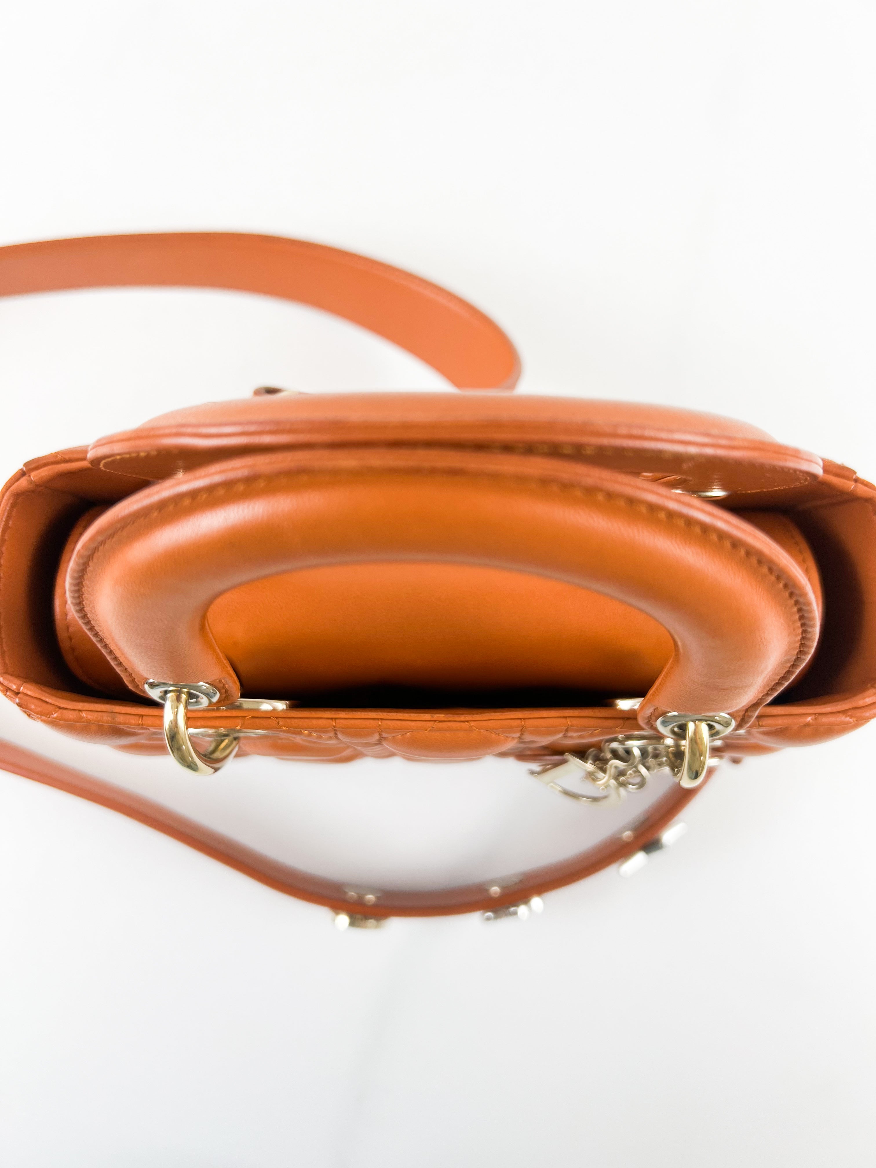 Christian Dior Small Lady Dior In Amber