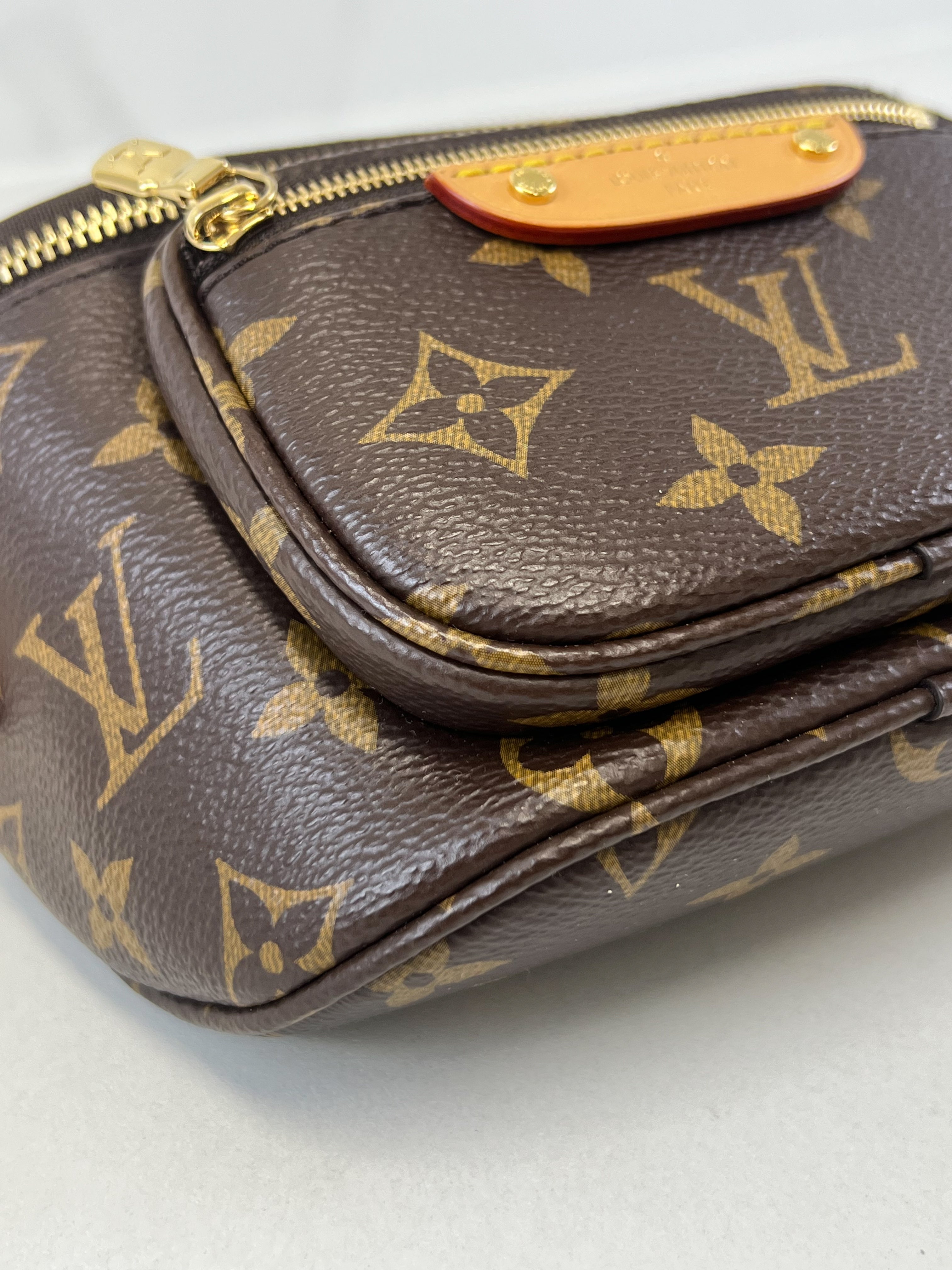 Louis Vuitton Monogram Canvas Bumbag