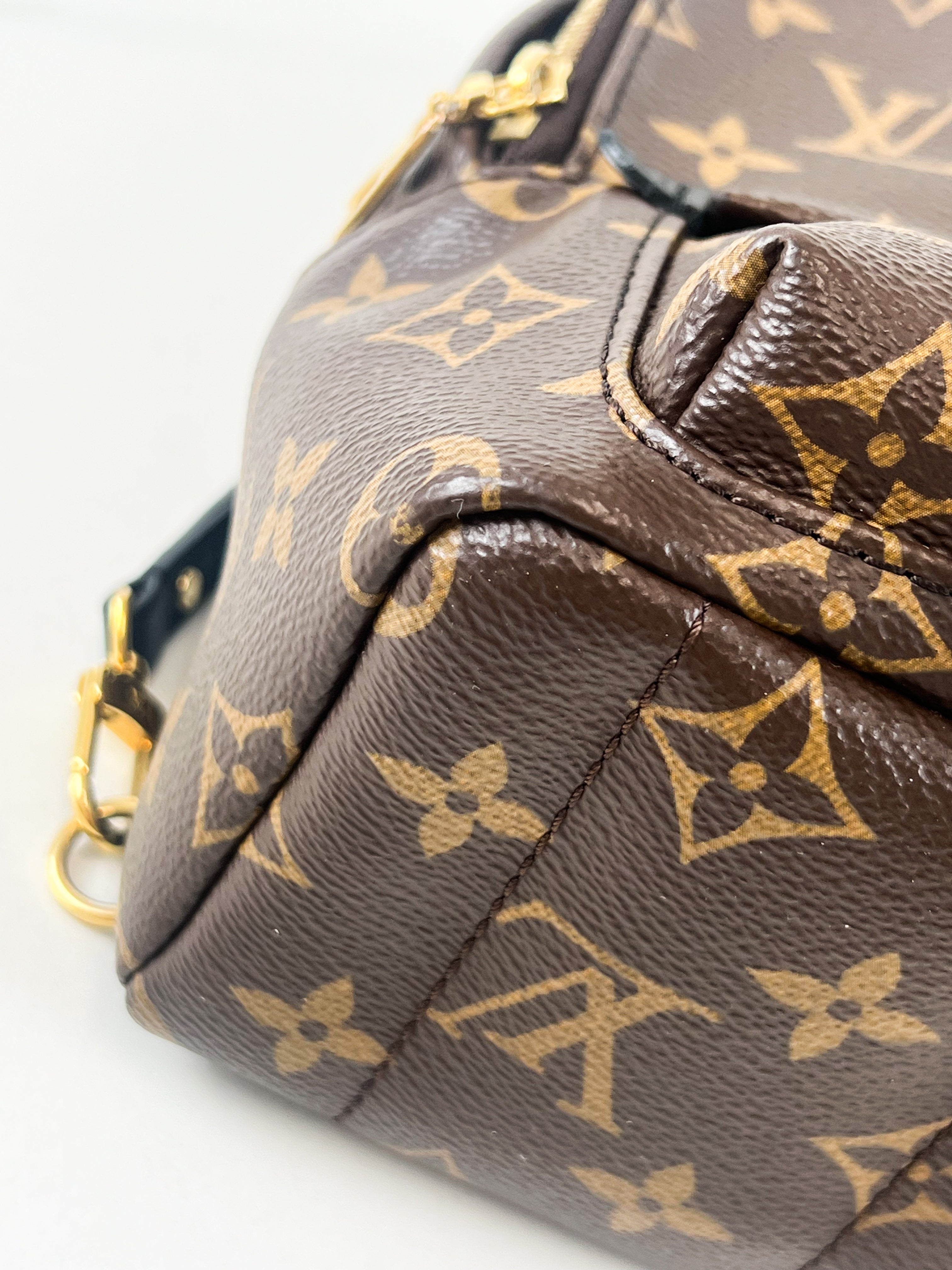 Louis Vuitton Palm Springs Mini