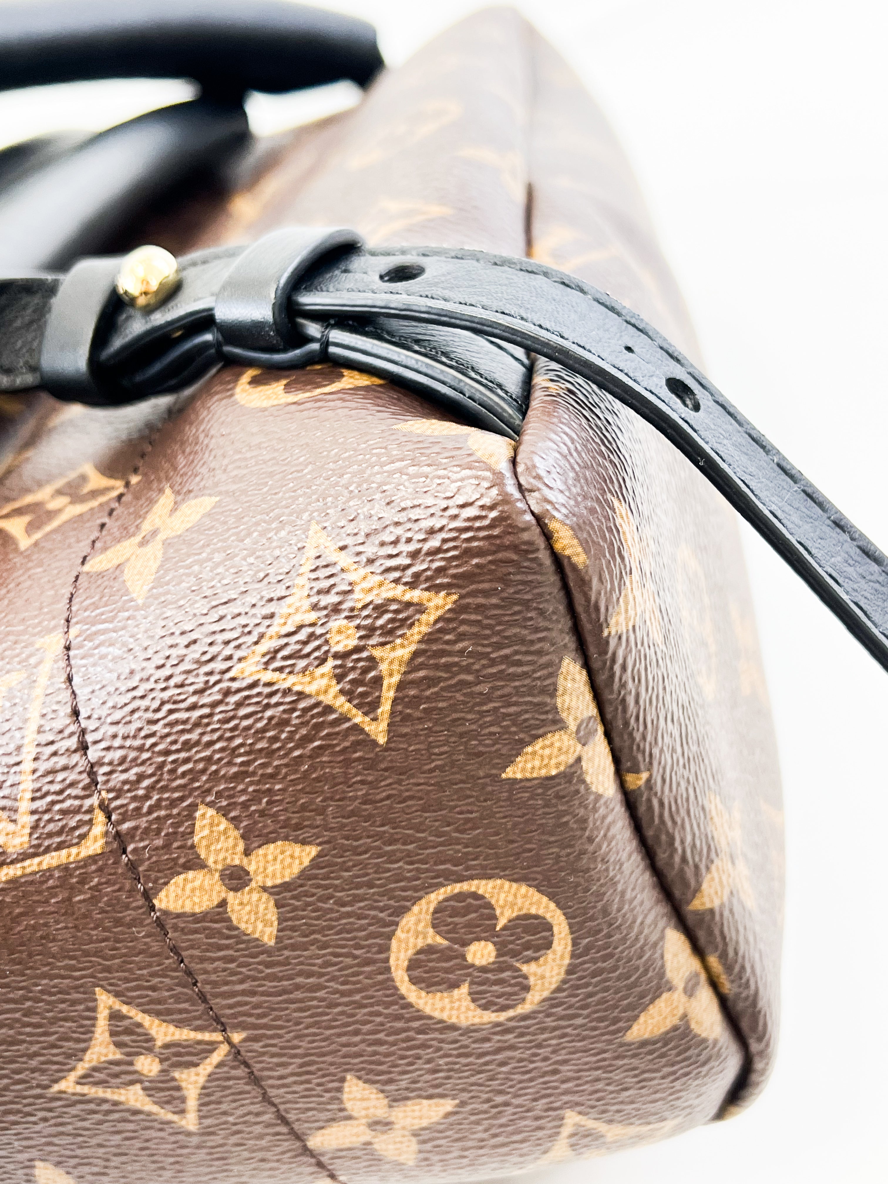 Louis Vuitton Palm Springs PM Monogram