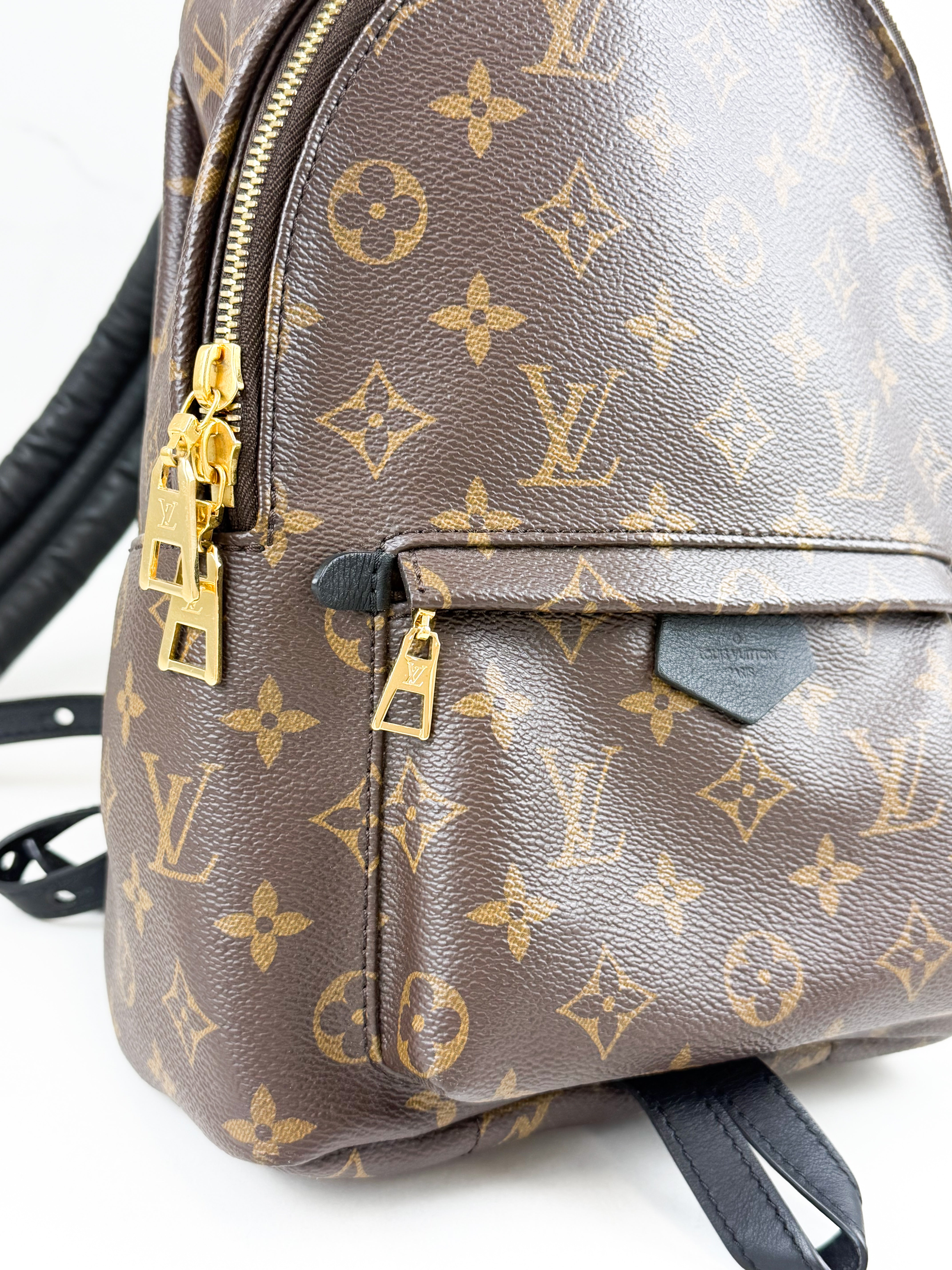 Louis Vuitton Palm Springs PM Monogram