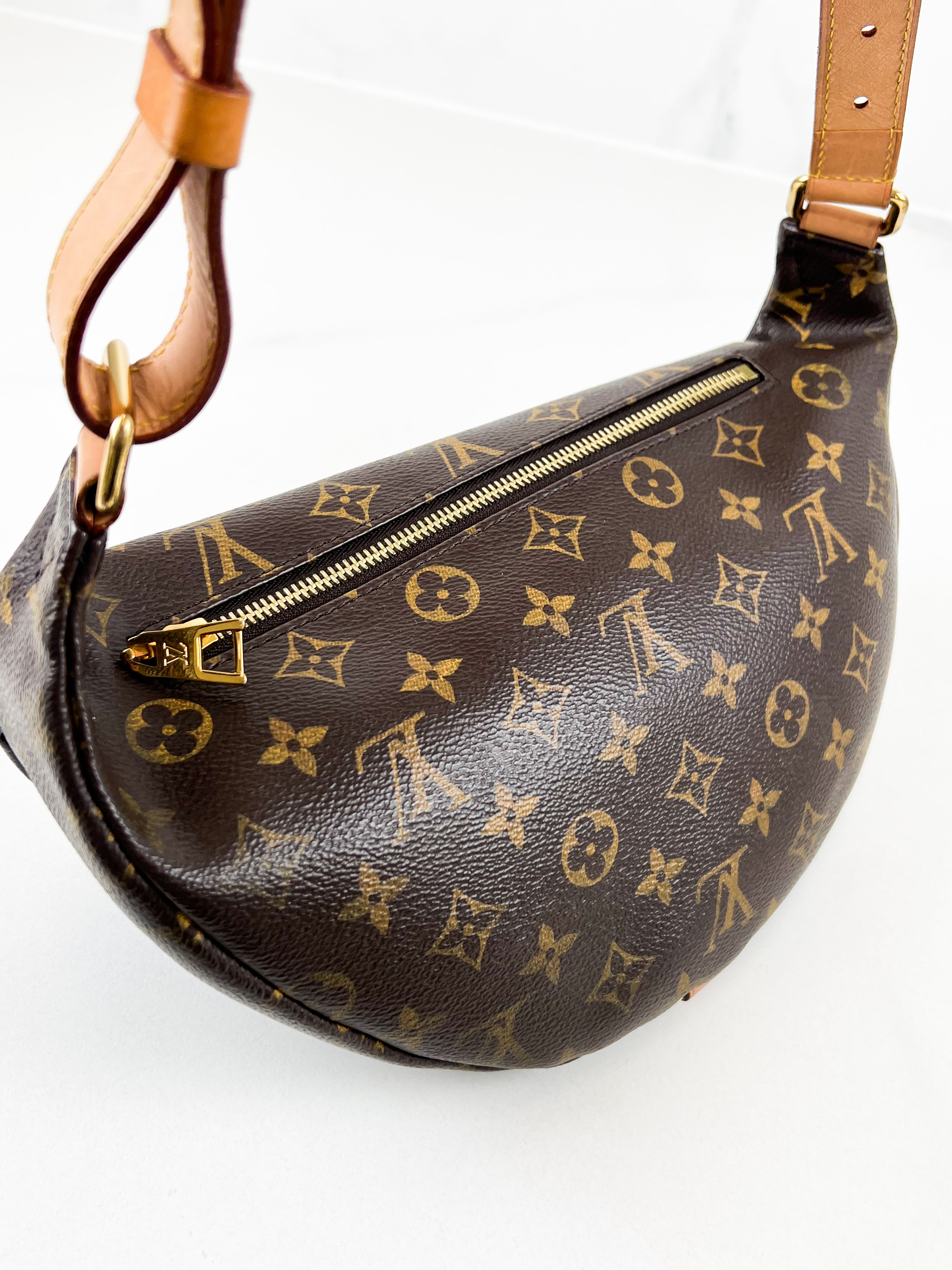 Louis Vuitton Monogram Canvas Bumbag