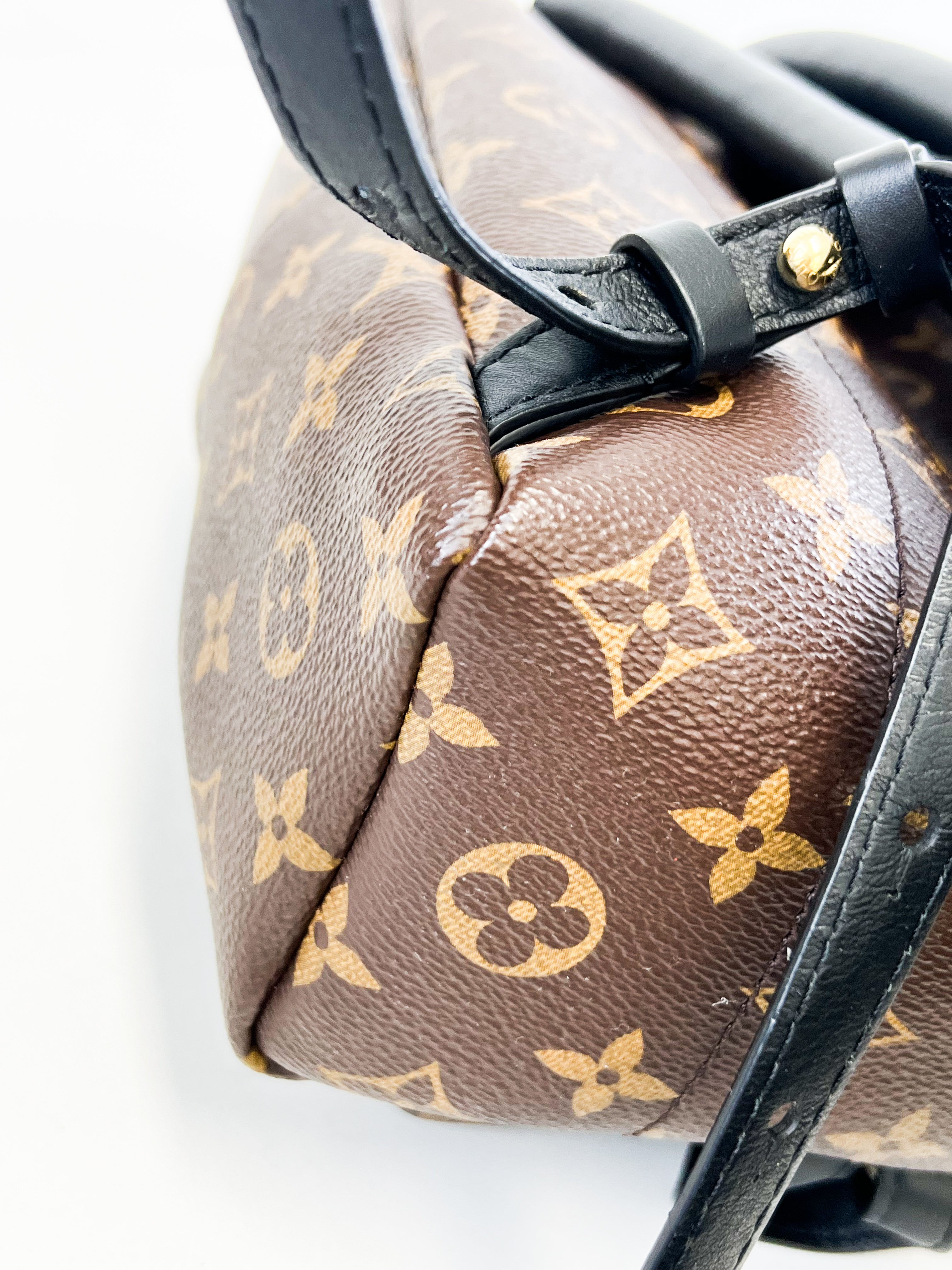 Louis Vuitton Palm Springs PM Monogram