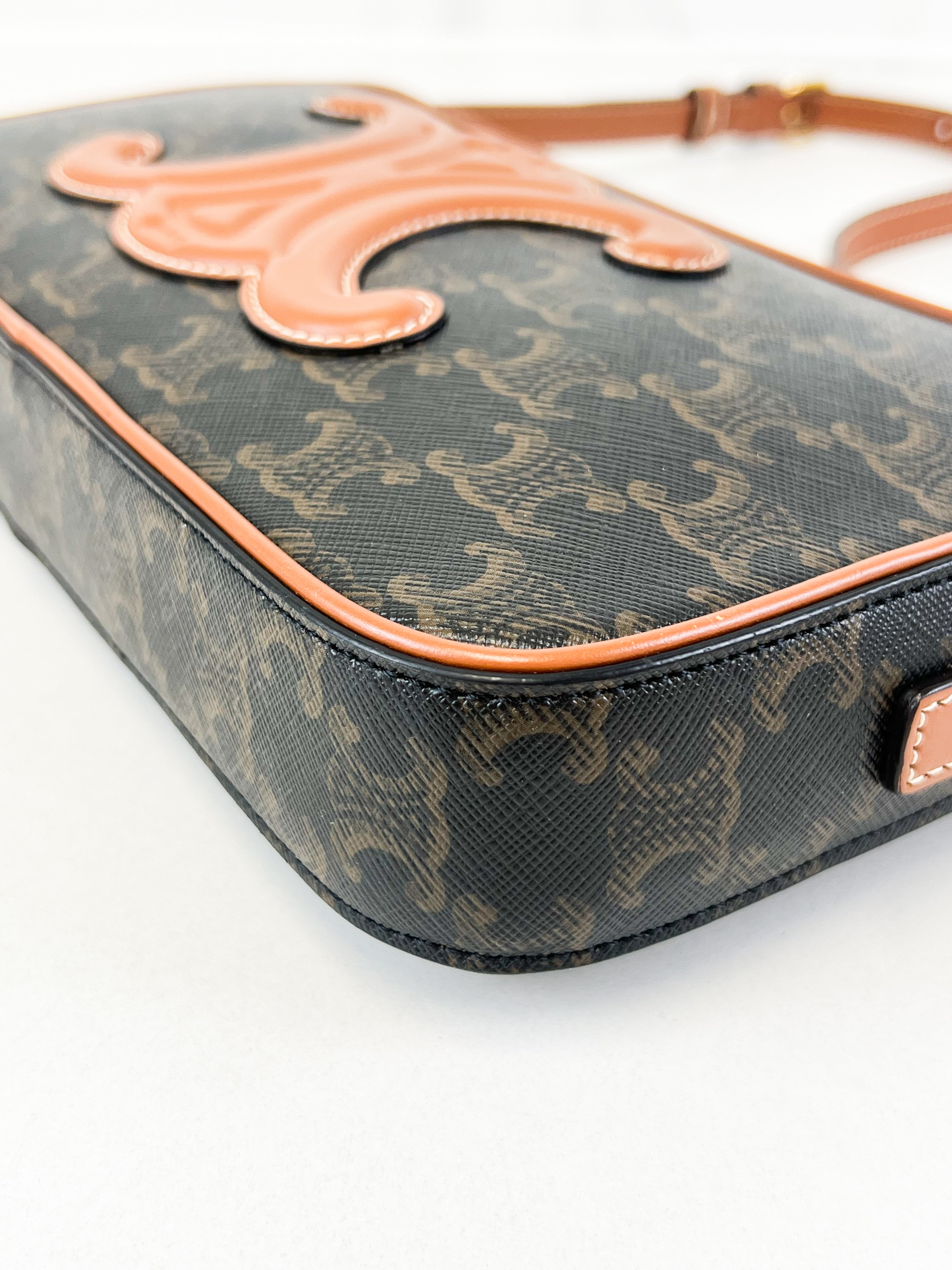 Celine Triomphe Canvas Mini Camera Shoulder Bag