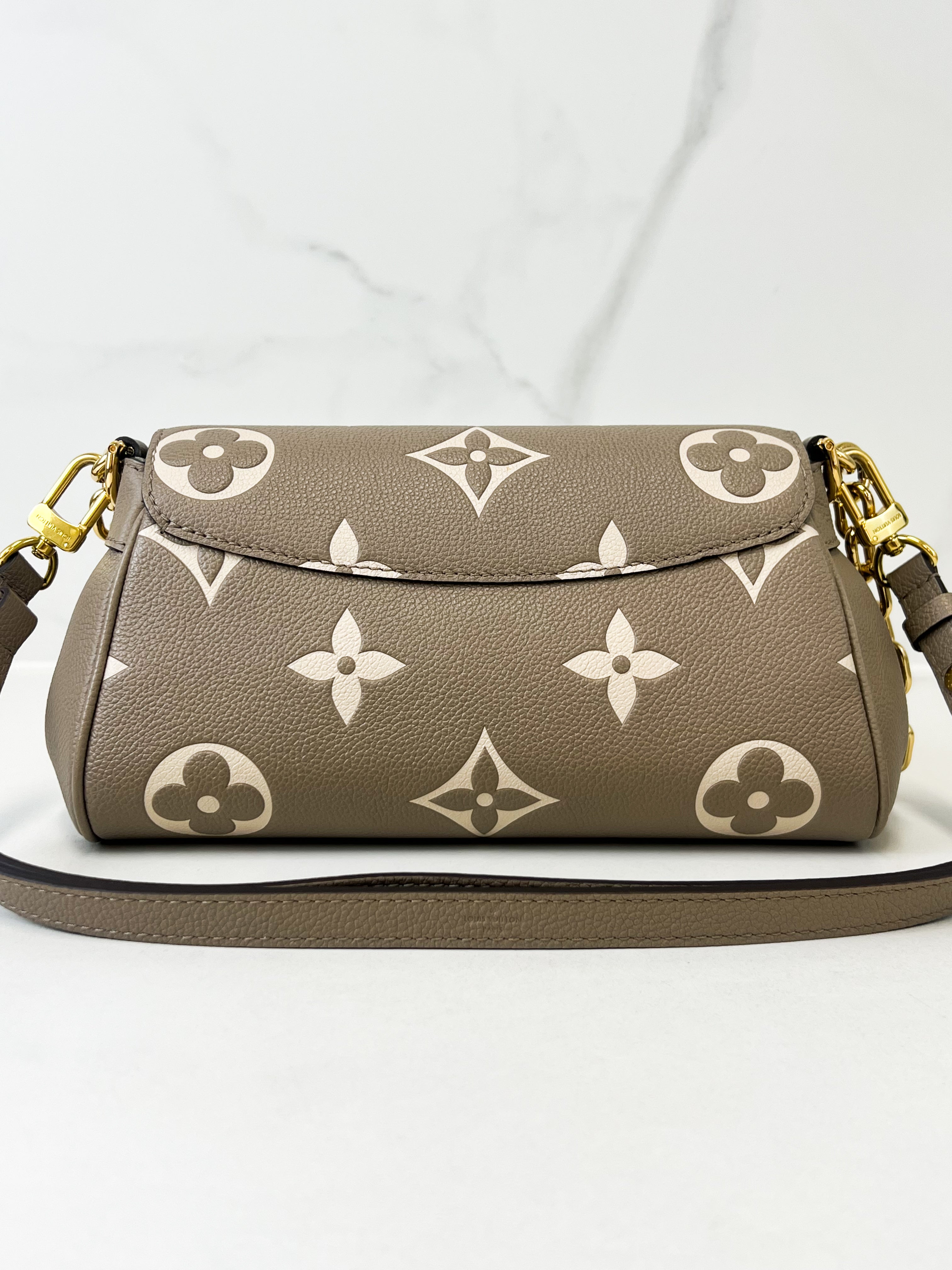 Louis Vuitton Favourite MM Monogram Canvas