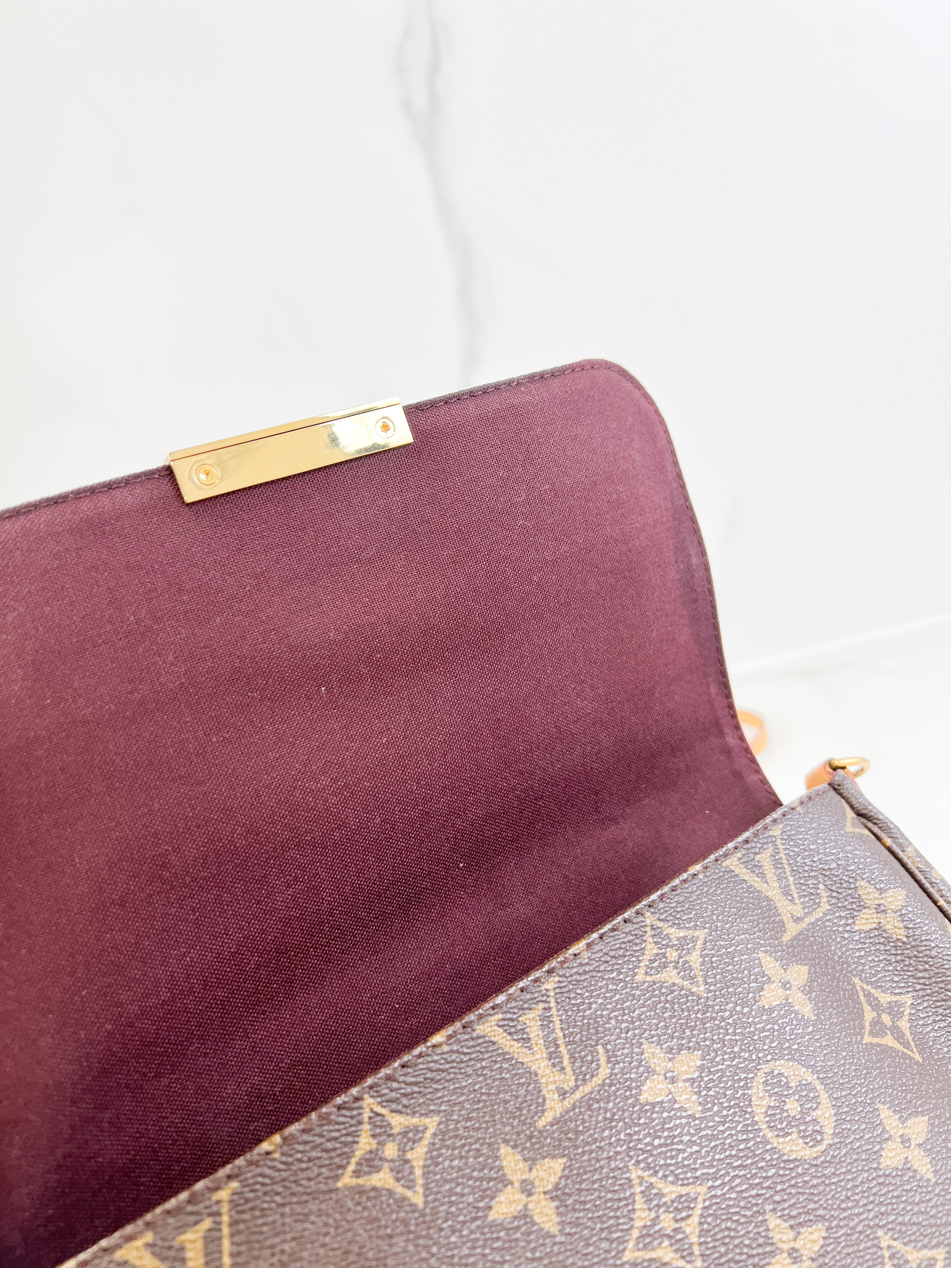 Louis Vuitton Favourite MM Monogram Canvas
