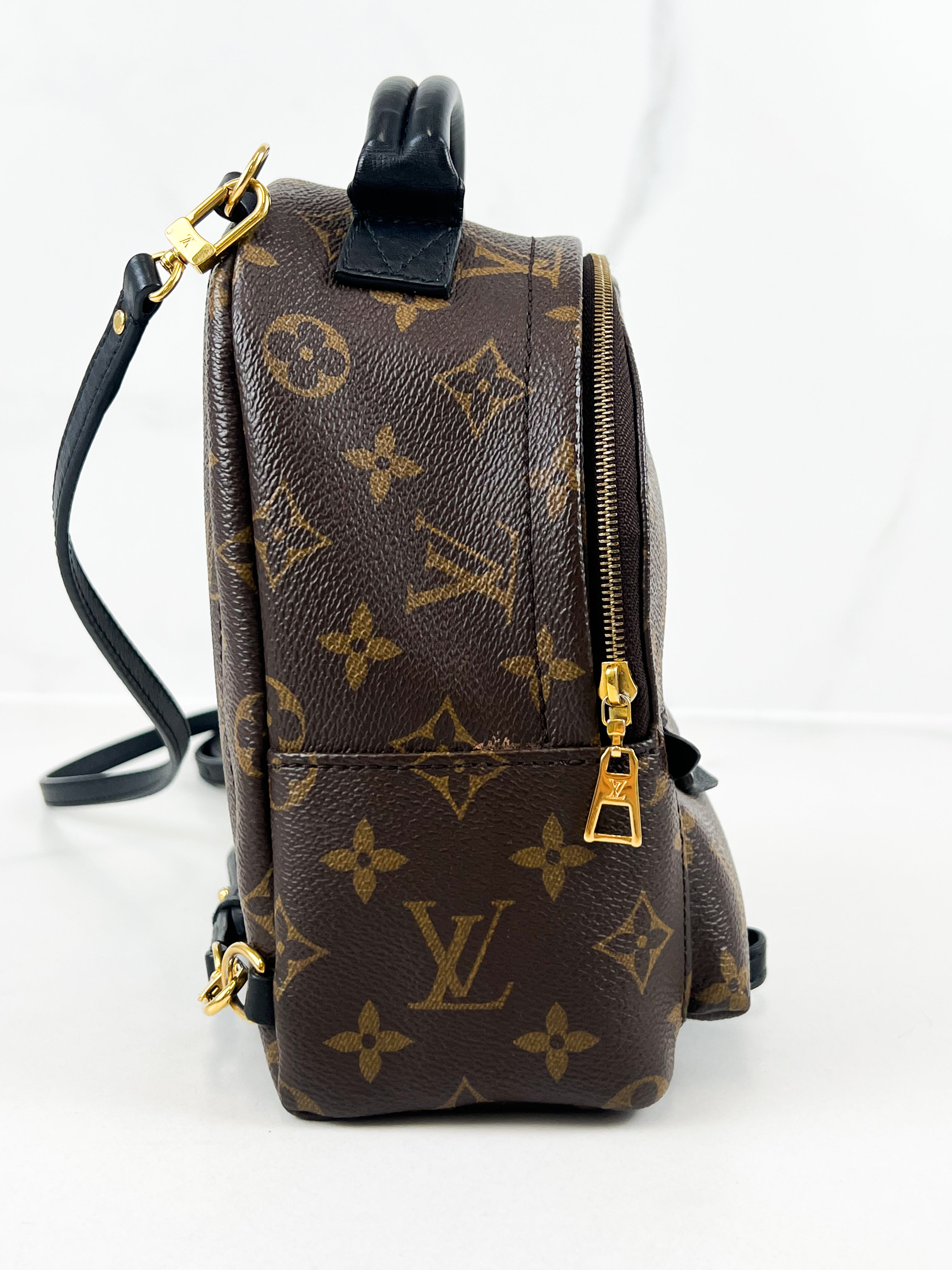 Louis Vuitton Palm Springs Mini