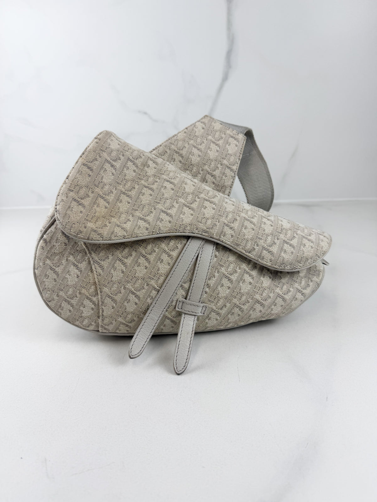 Christian Dior Unisex Saddle Bag in Oblique Canvas Latte & Gray