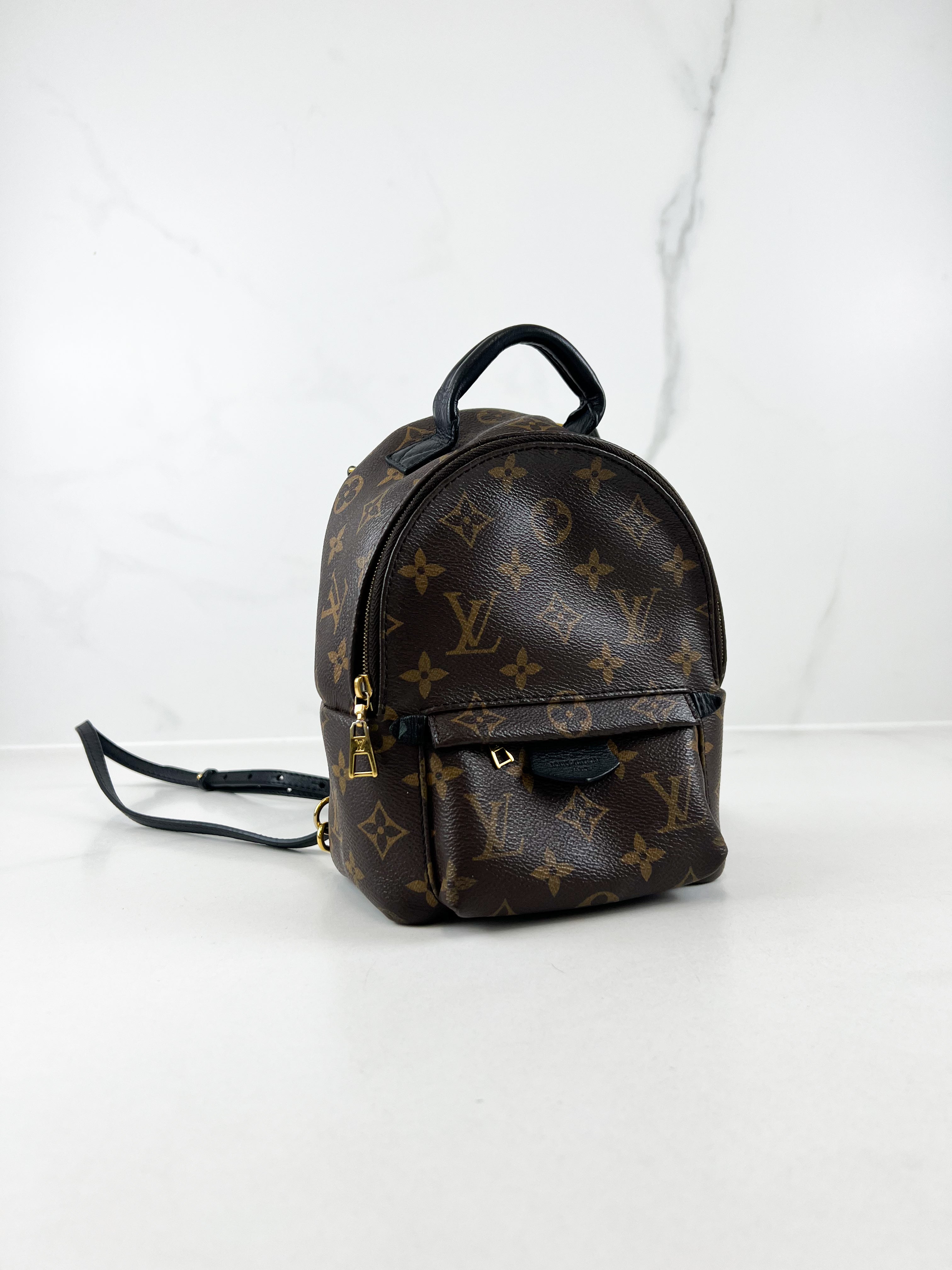 Louis Vuitton Palm Springs Mini