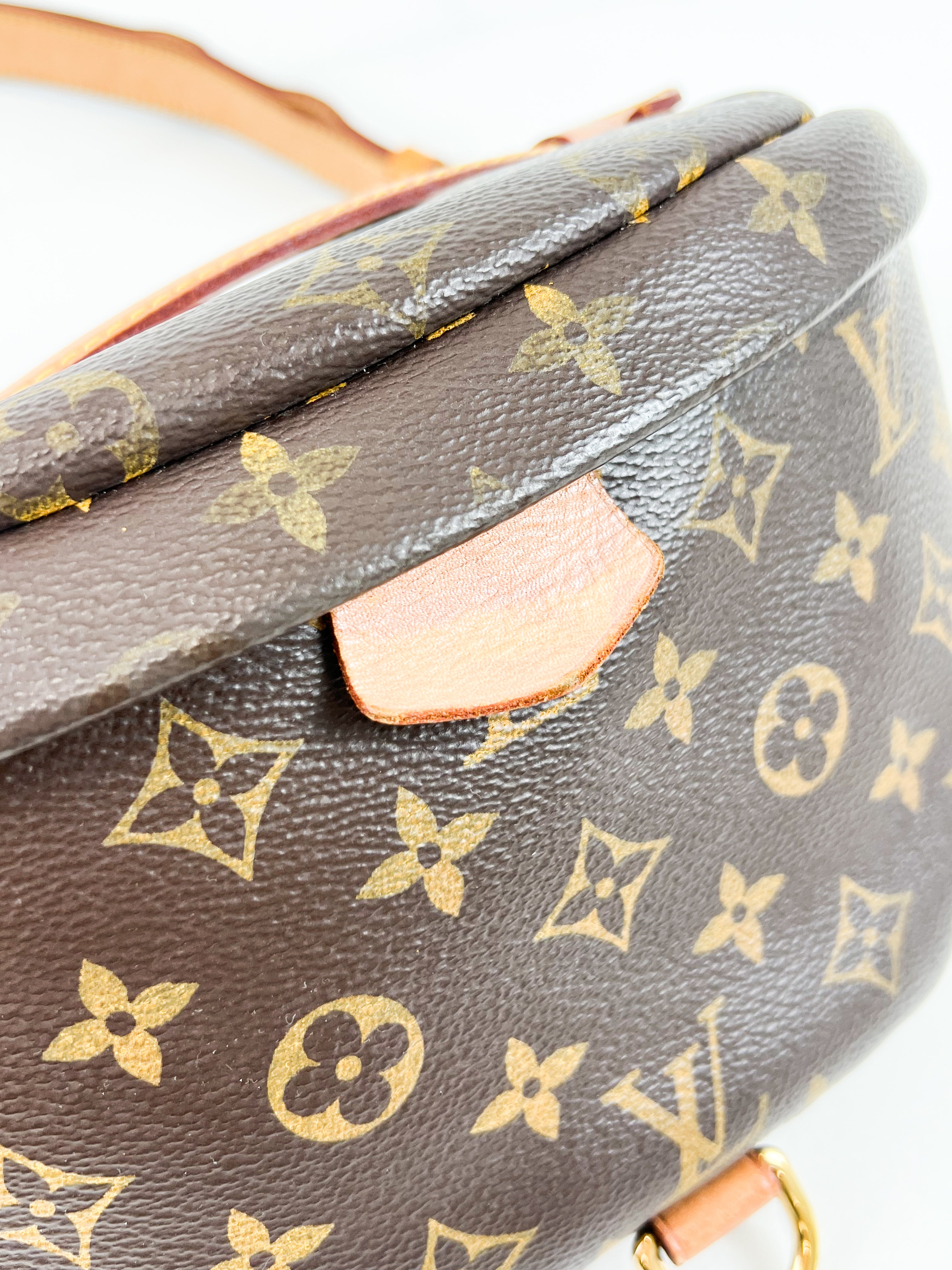 Louis Vuitton Monogram Canvas Bumbag