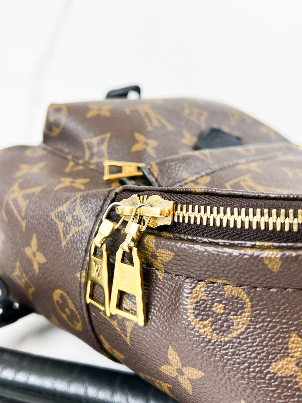 Louis Vuitton Palm Springs PM Monogram