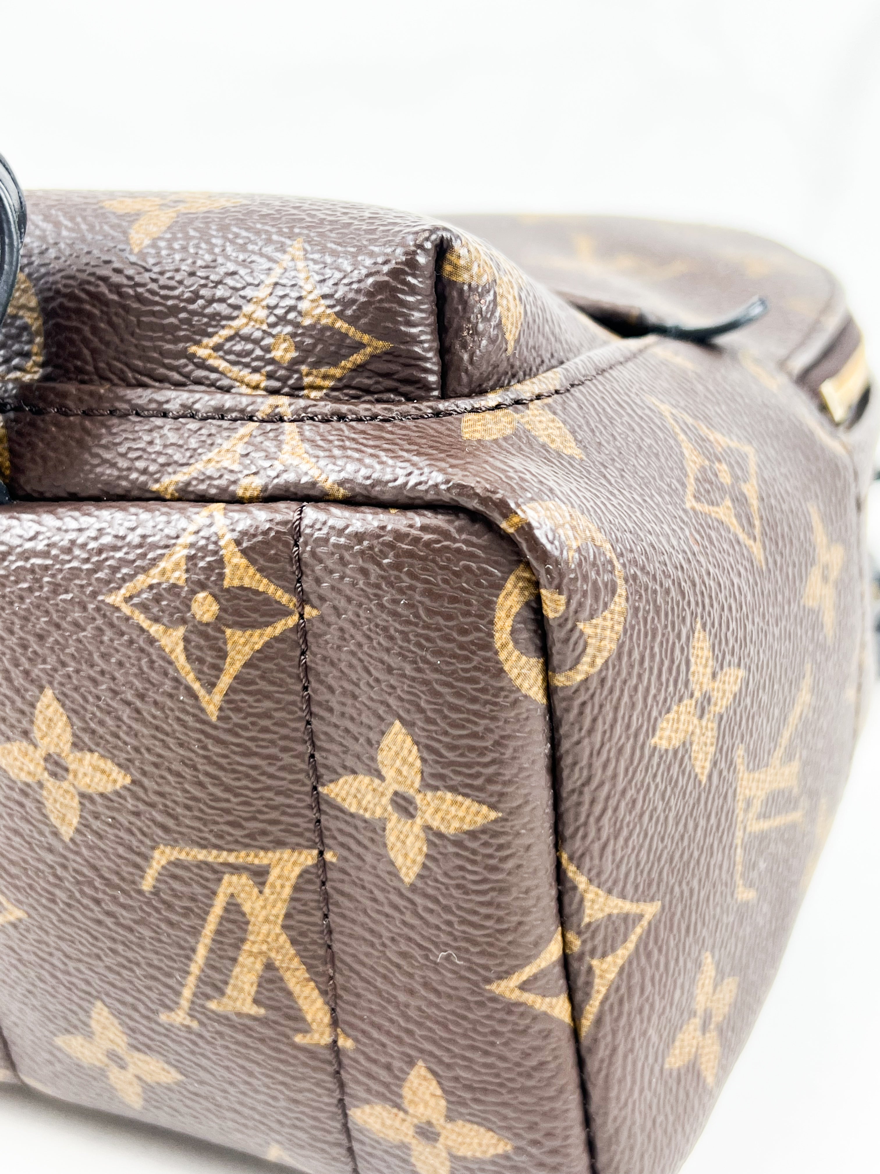 Louis Vuitton Palm Springs Mini