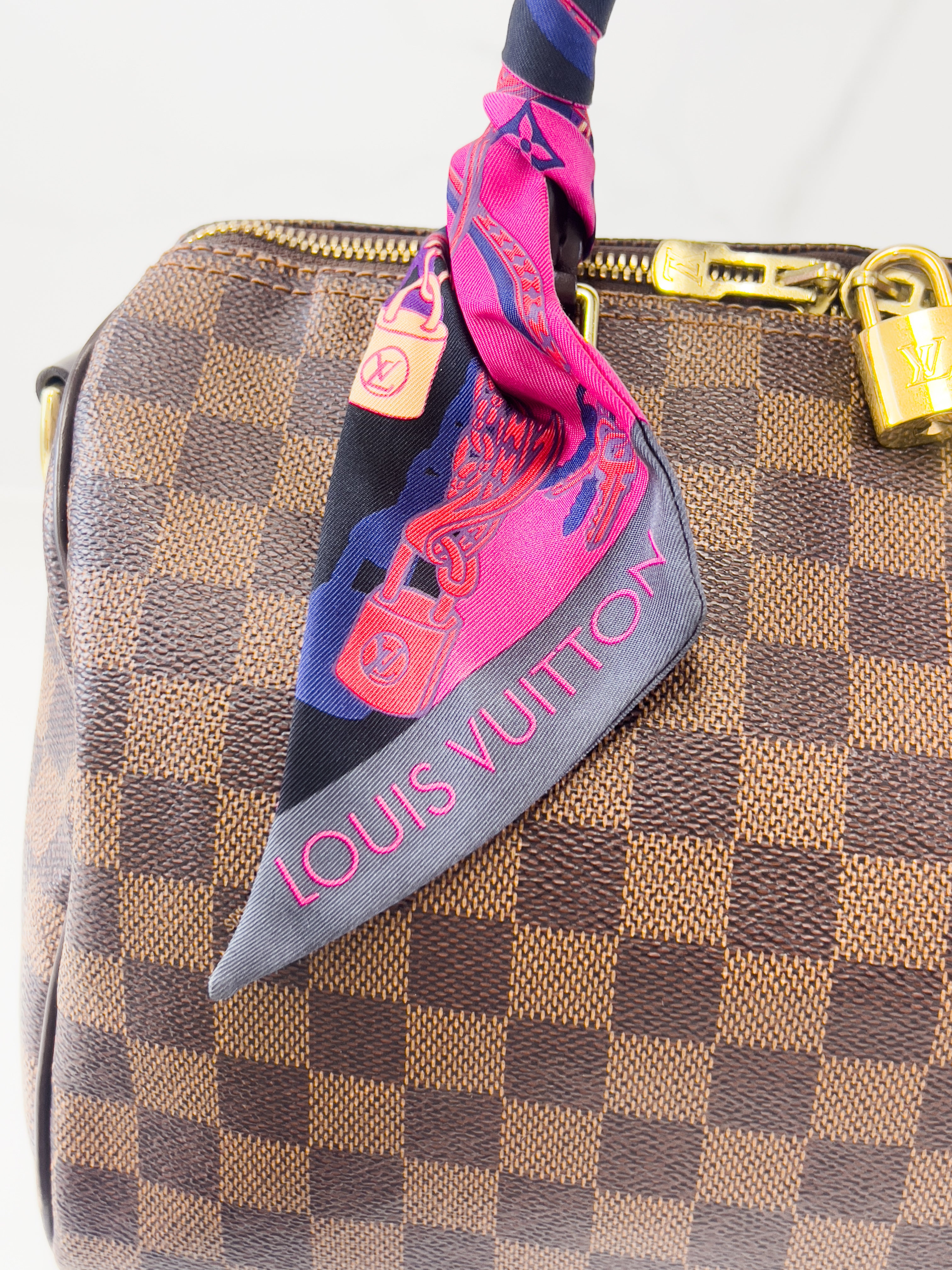Louis Vuitton Speedy 25 Bandoulière Damier Ebene Canvas