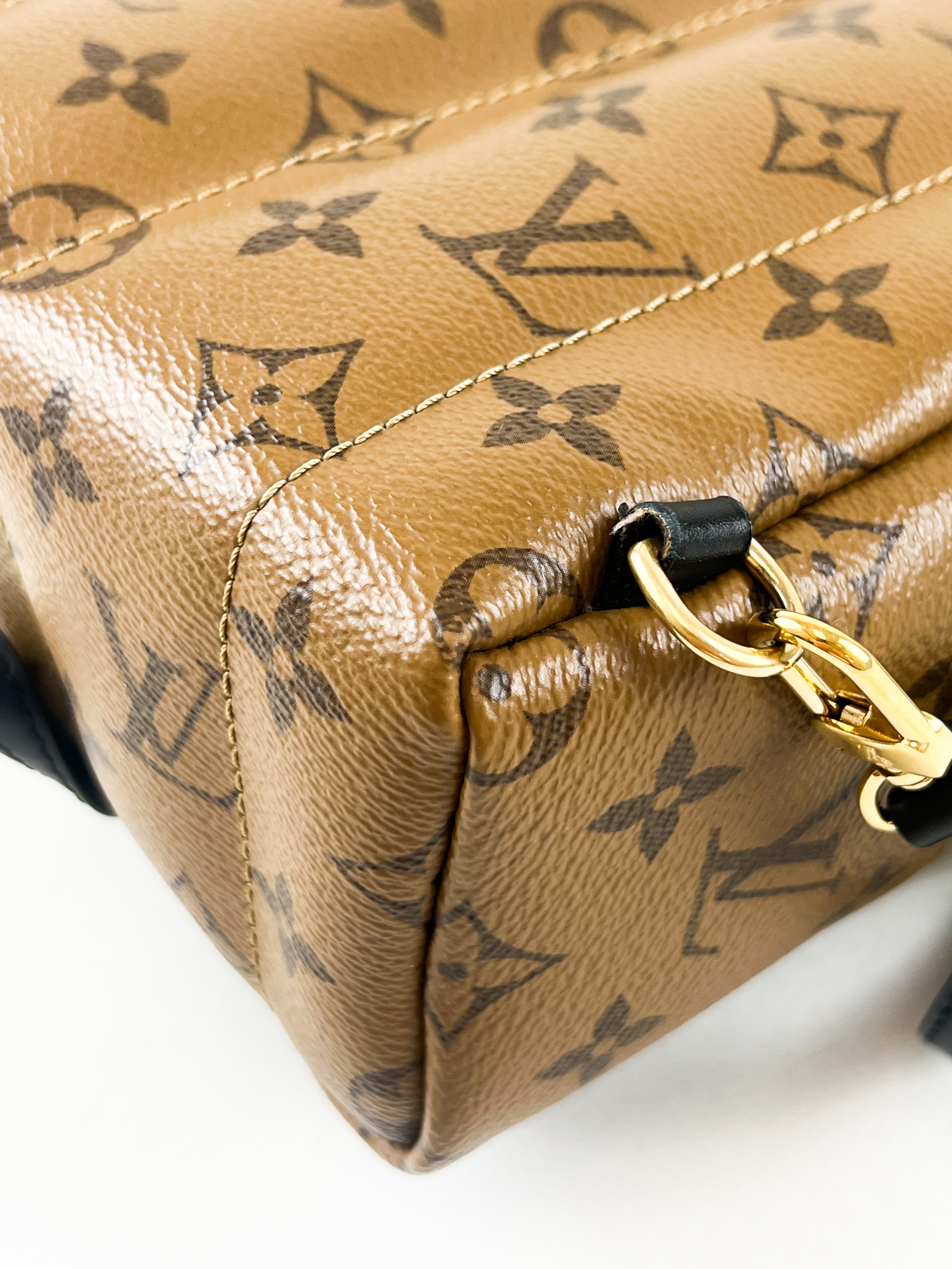 Louis Vuitton Reverse Palm Springs Mini Backpack