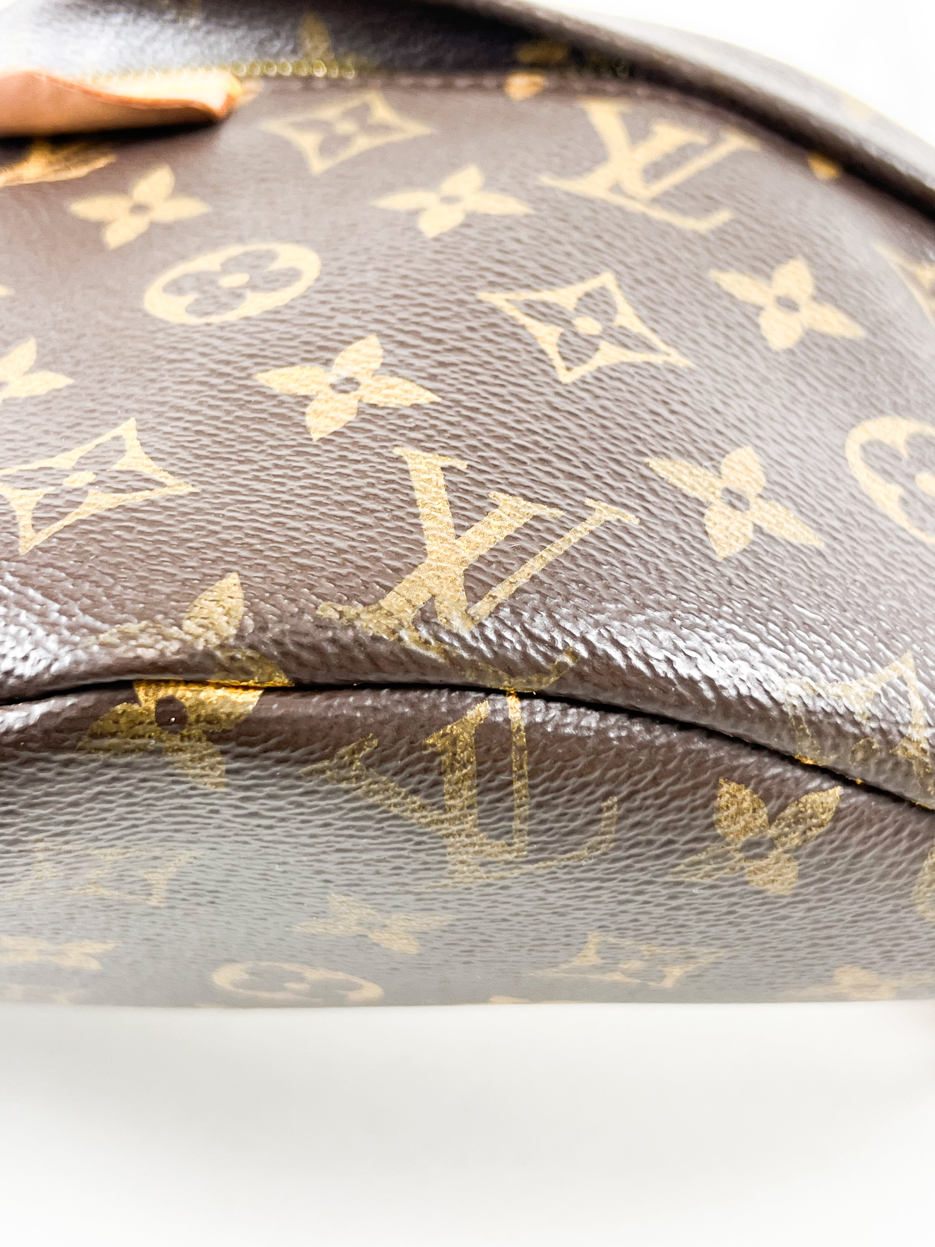 Louis Vuitton Monogram Canvas Bumbag