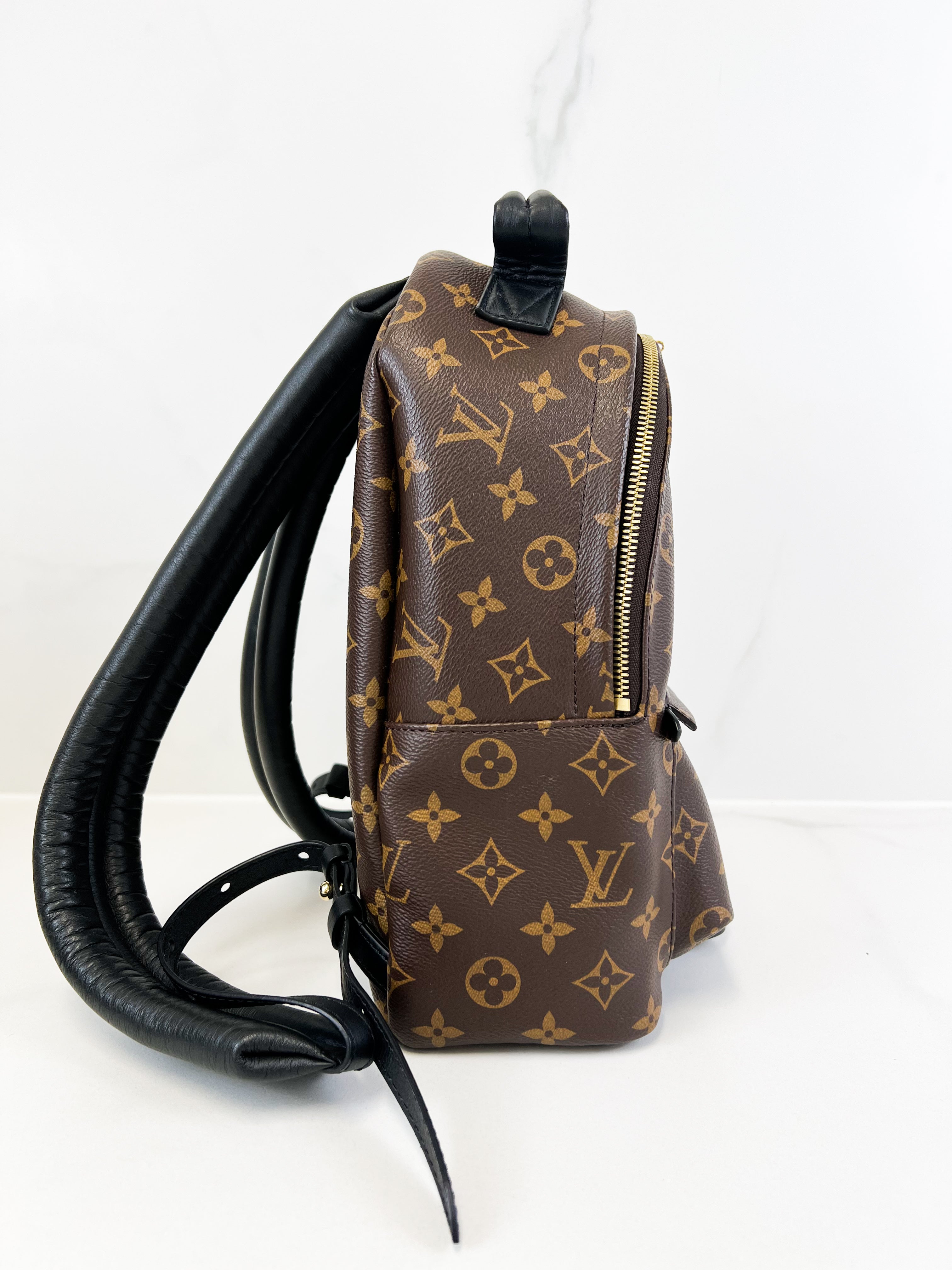 Louis Vuitton Palm Springs PM Monogram