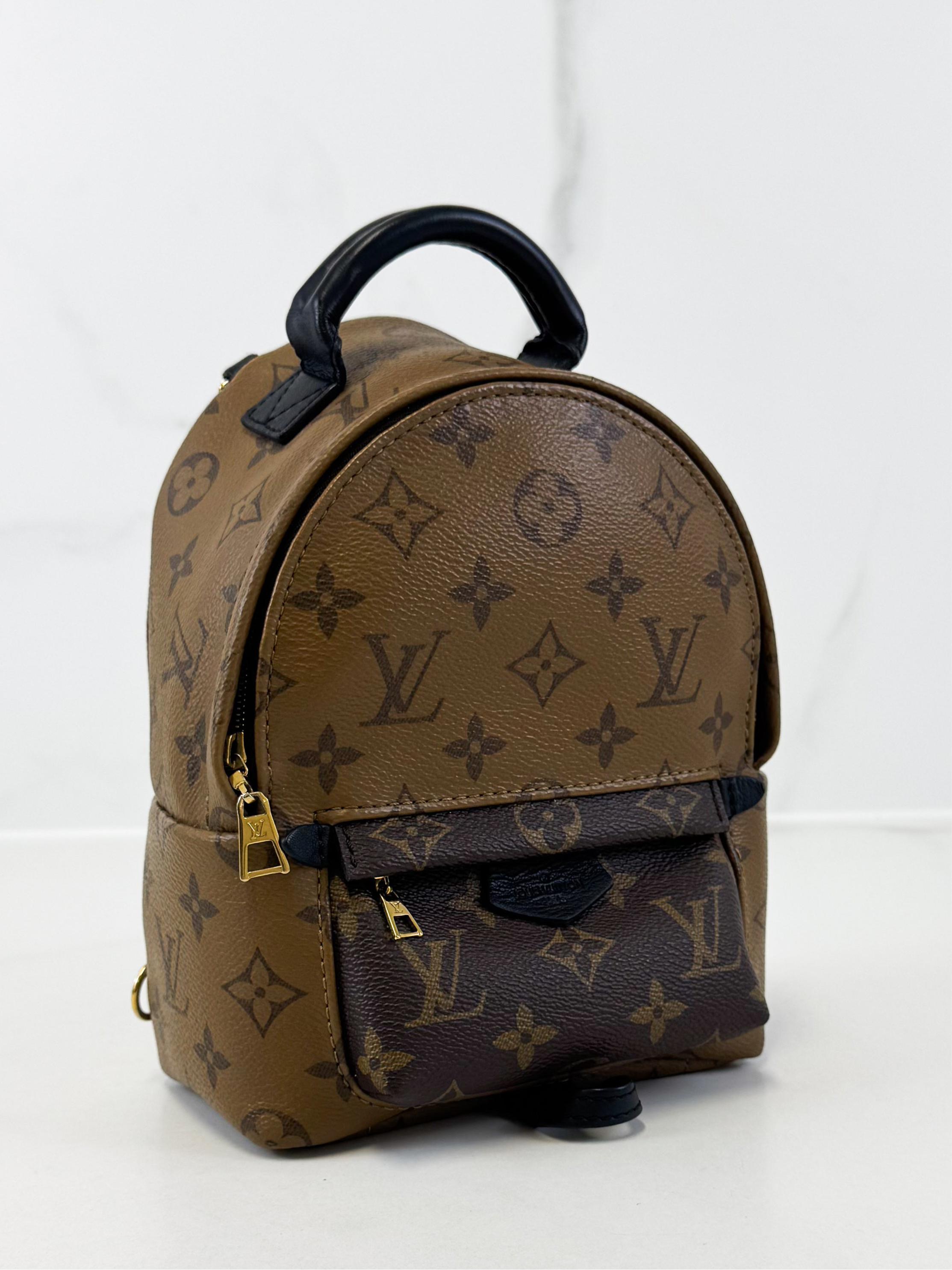 Louis Vuitton Reverse Palm Springs Mini Backpack