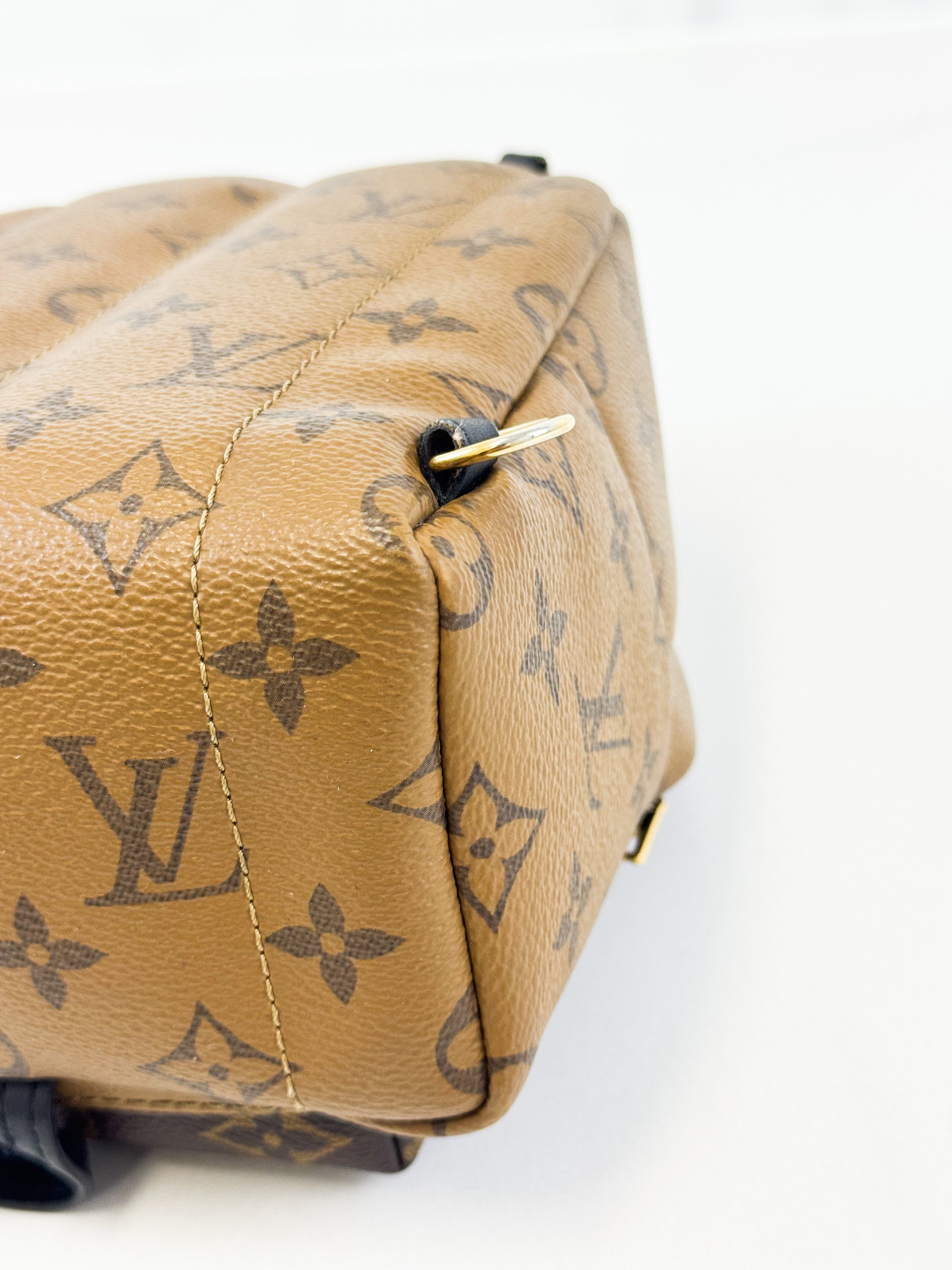 Louis Vuitton Reverse Palm Springs Mini Backpack