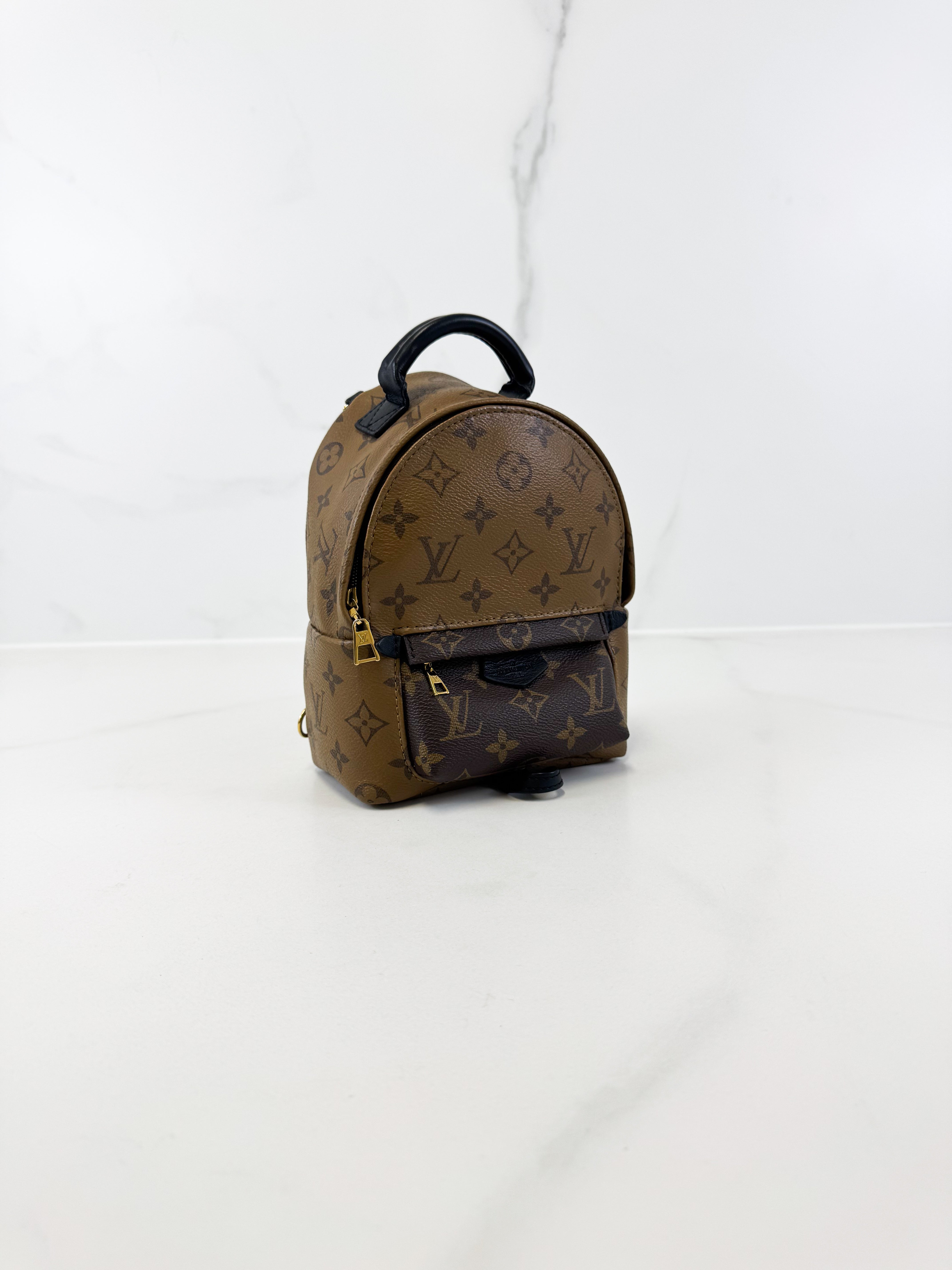 Louis Vuitton Reverse Palm Springs Mini Backpack
