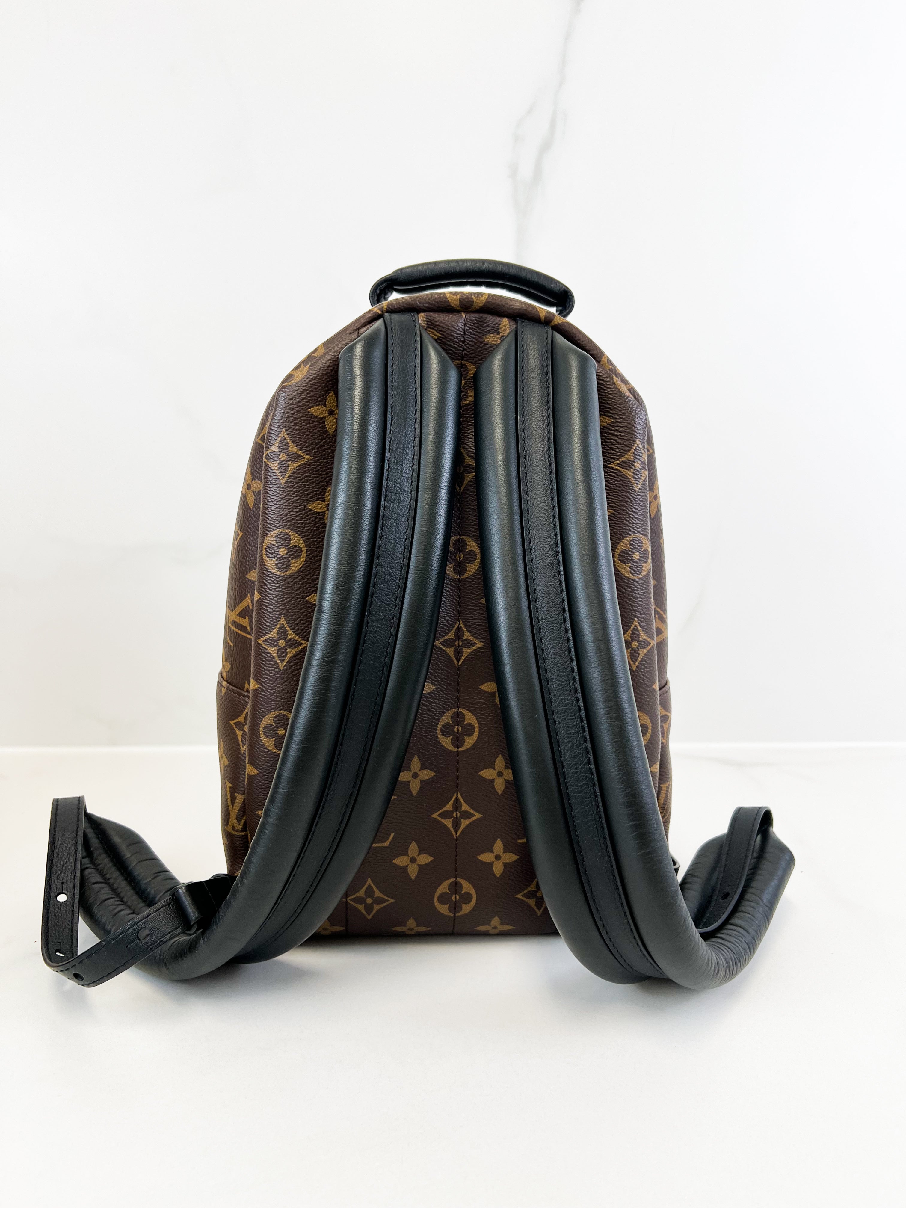 Louis Vuitton Palm Springs PM Monogram