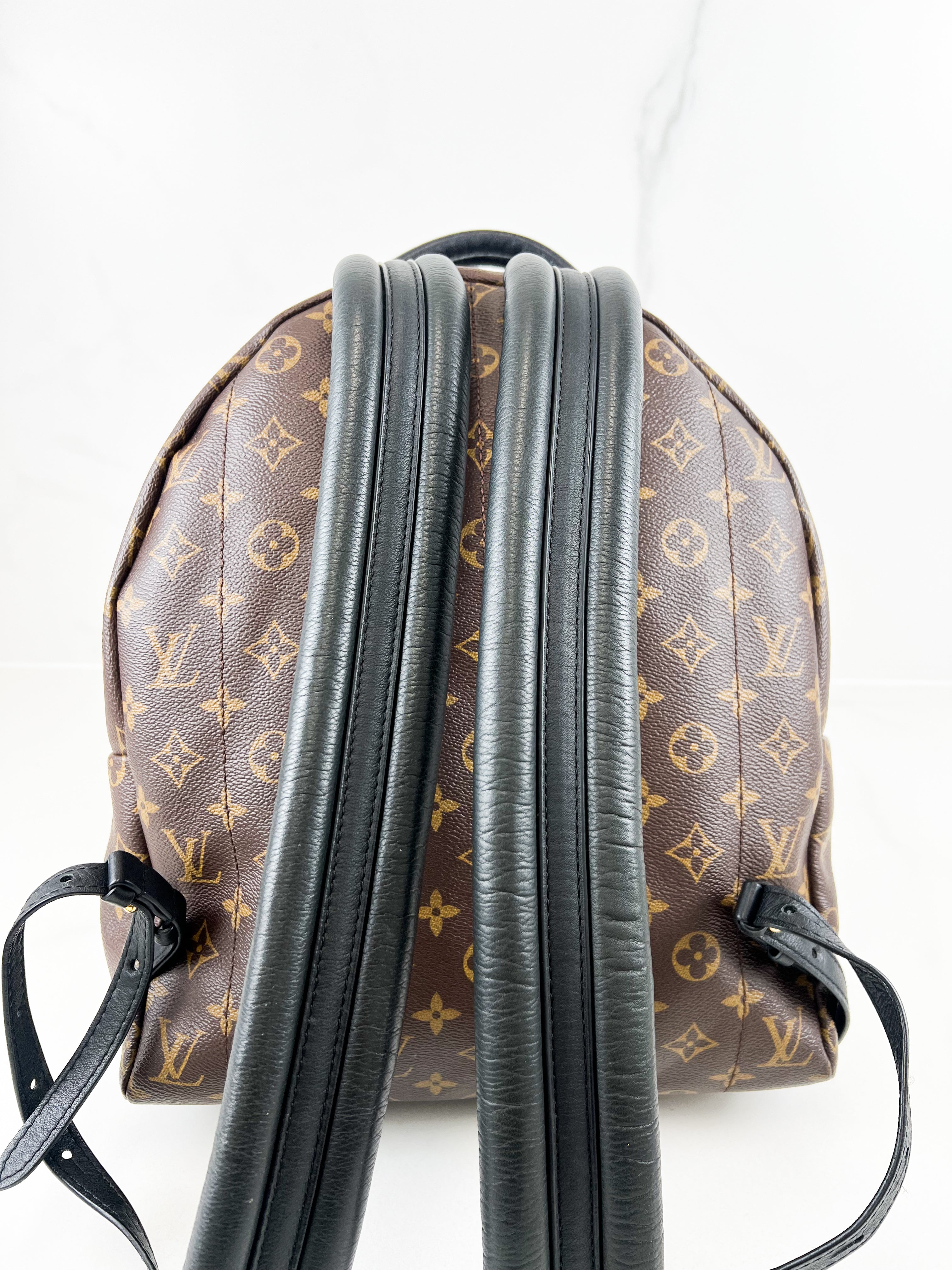 Louis Vuitton Palm Springs MM Monogram