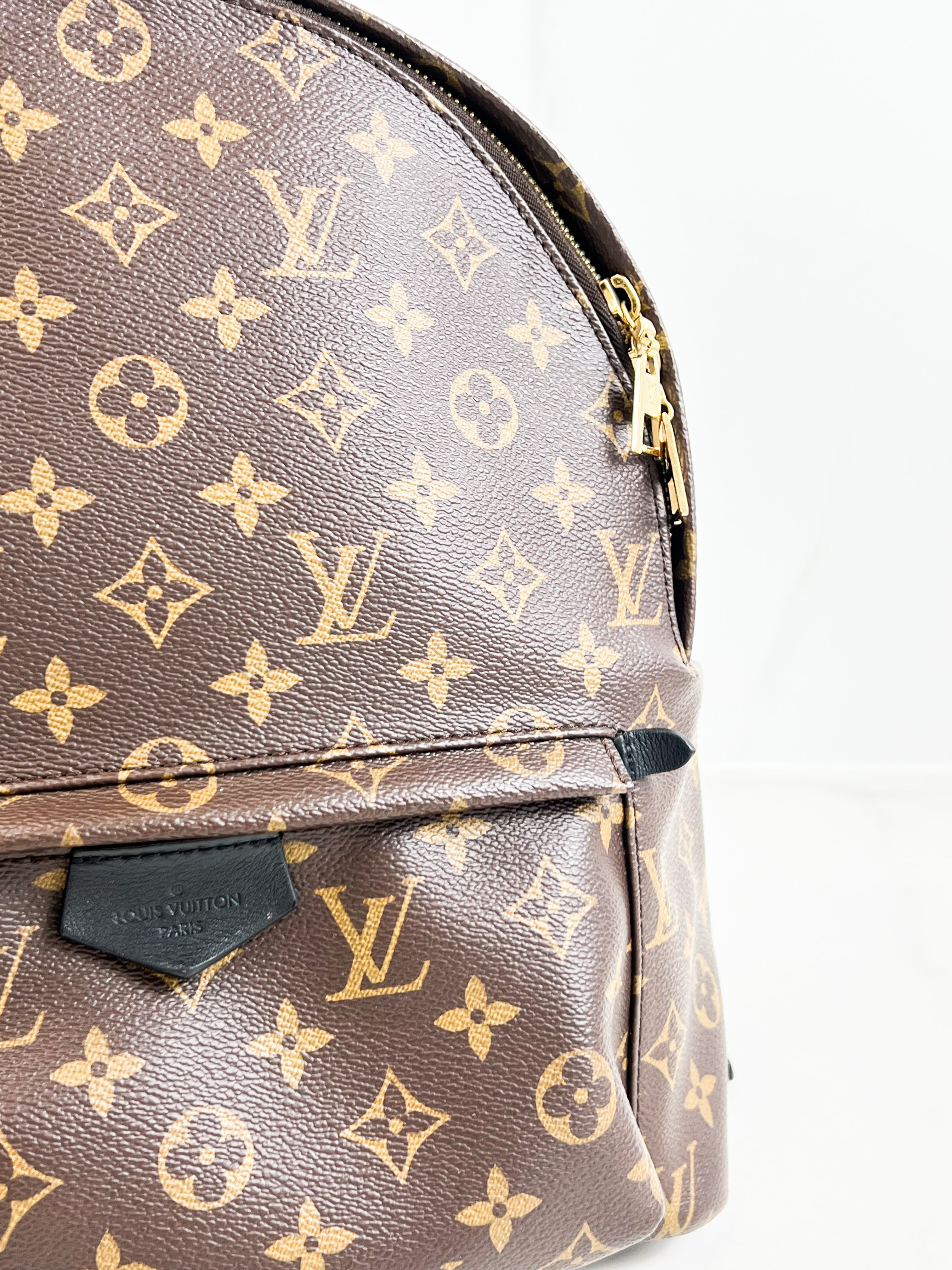 Louis Vuitton Palm Springs MM Monogram