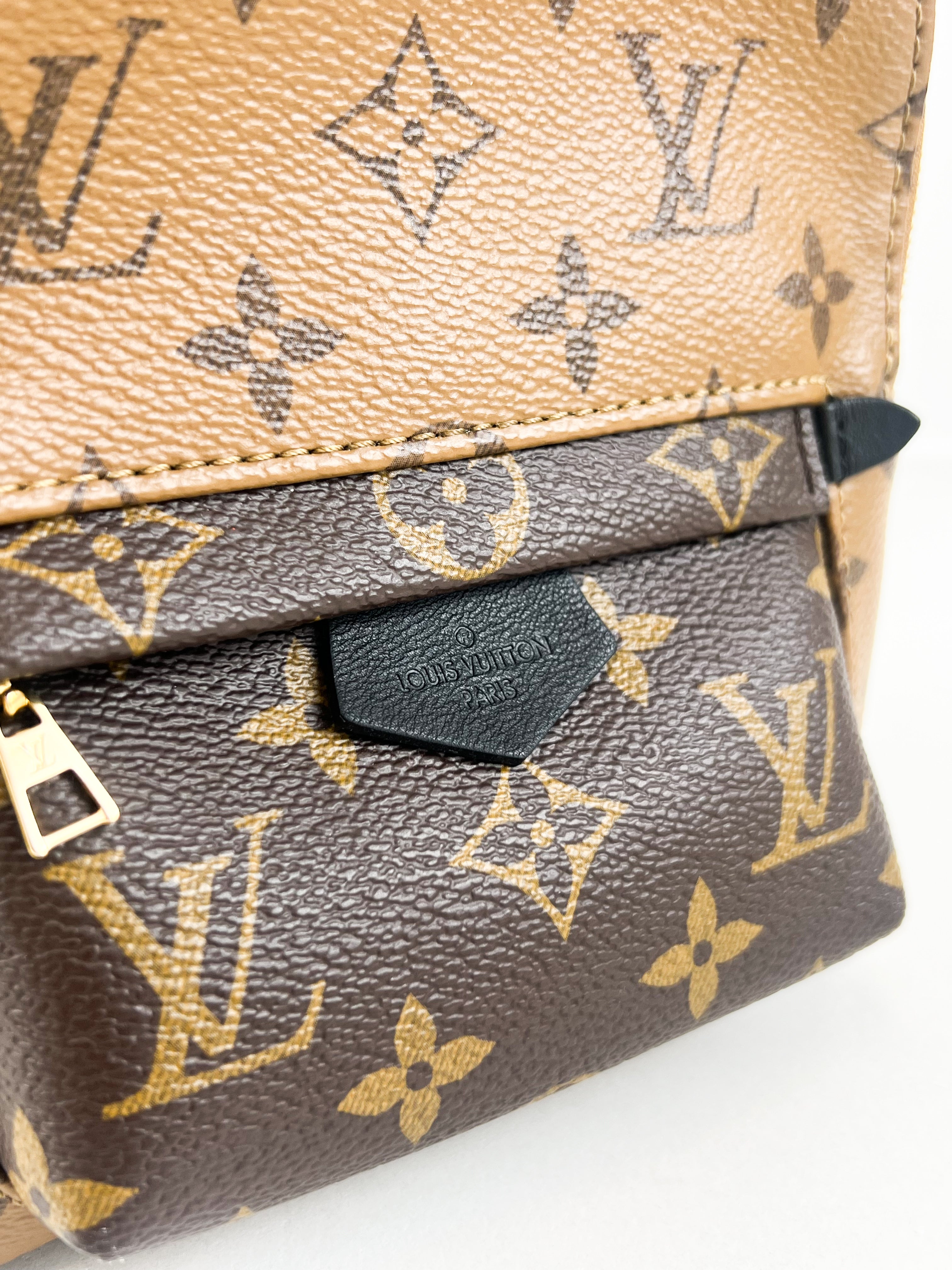 Louis Vuitton Reverse Palm Springs Mini Backpack