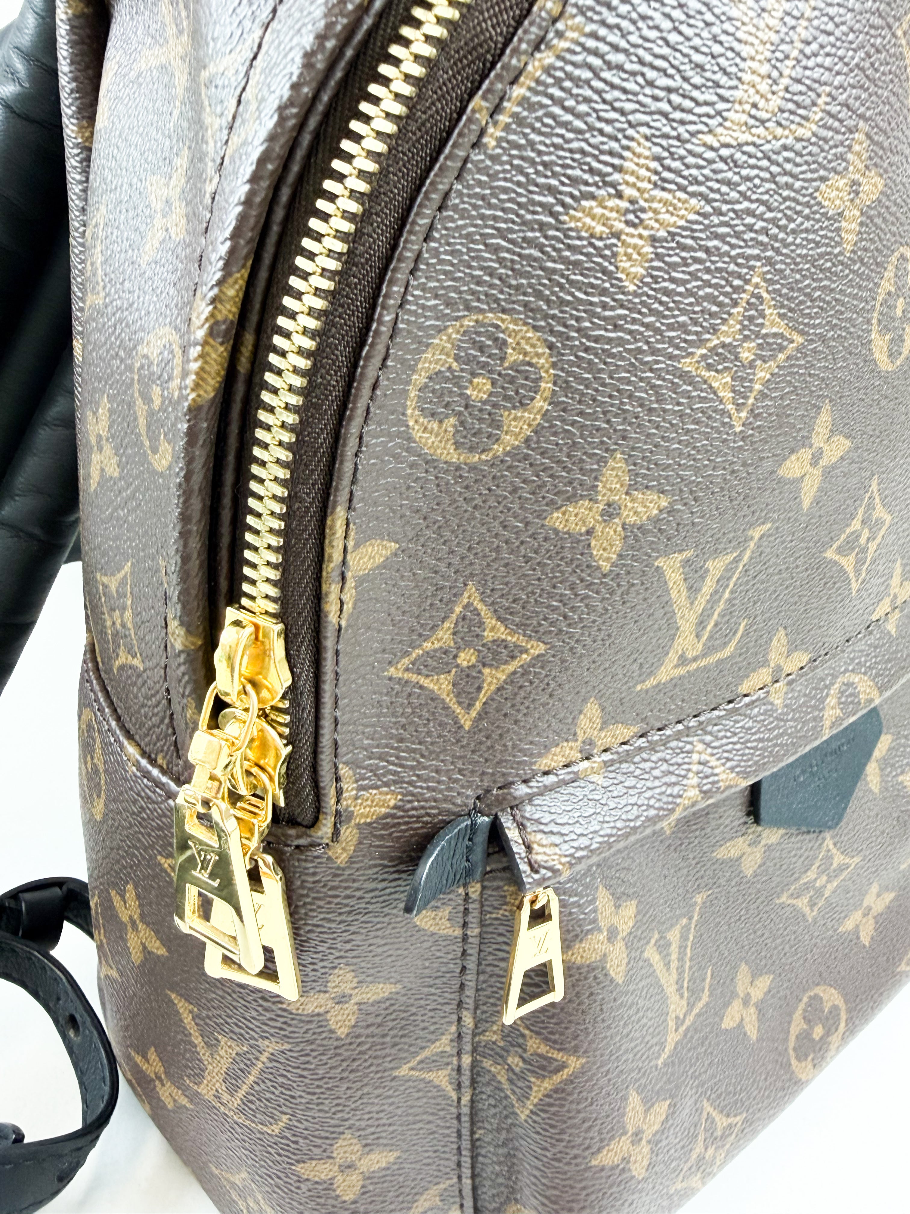 Louis Vuitton Palm Springs PM Monogram