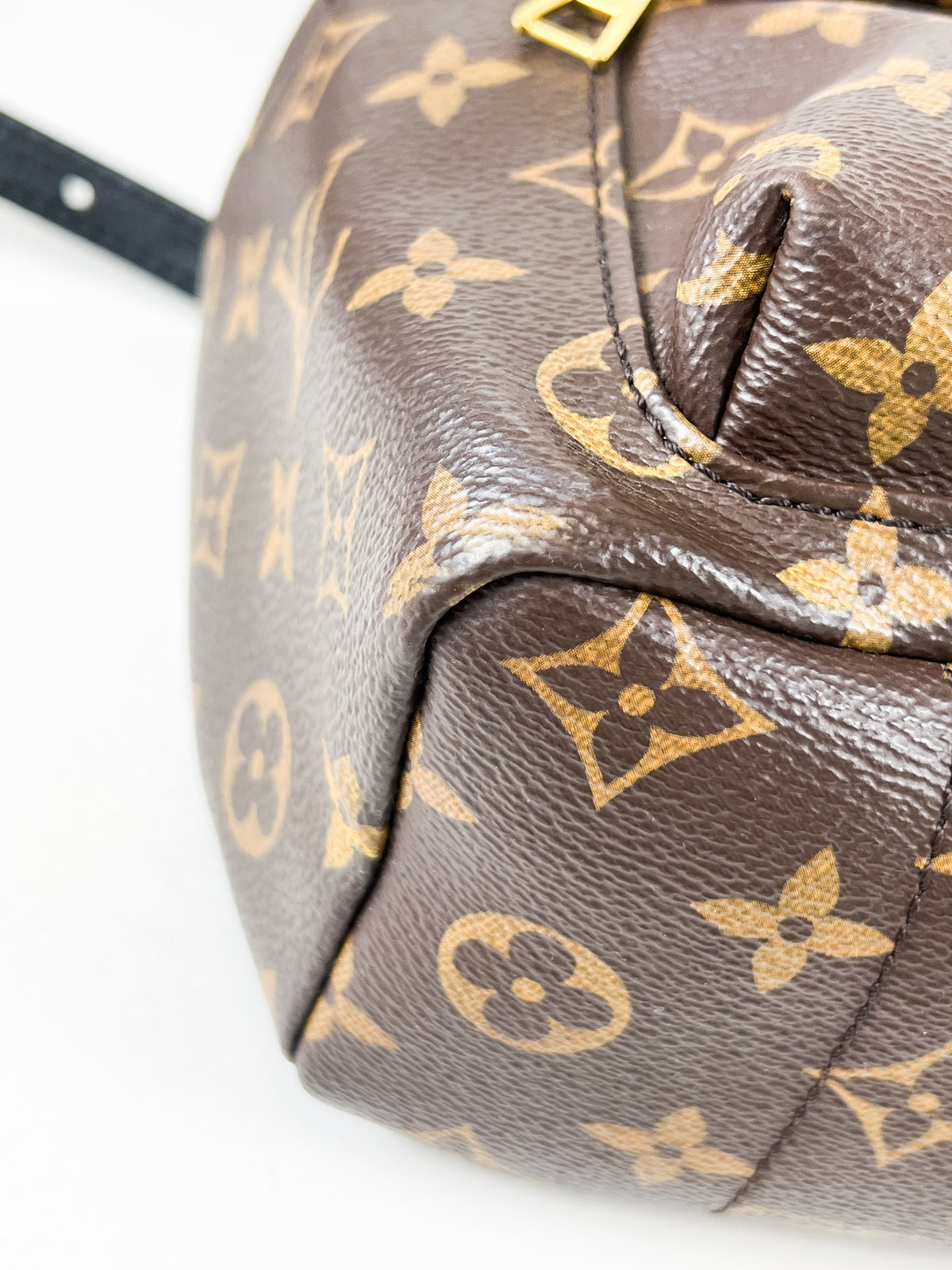 Louis Vuitton Palm Springs PM Monogram