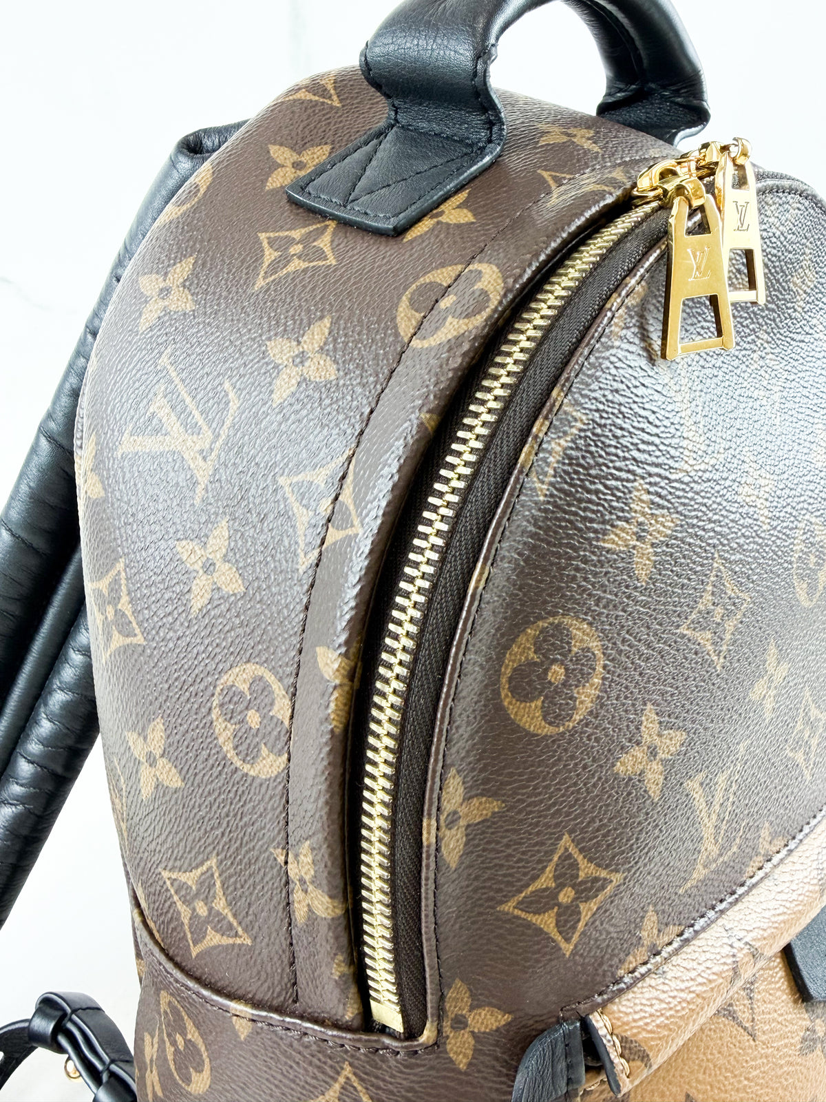 Louis Vuitton Palm Springs PM Reverse Monogram