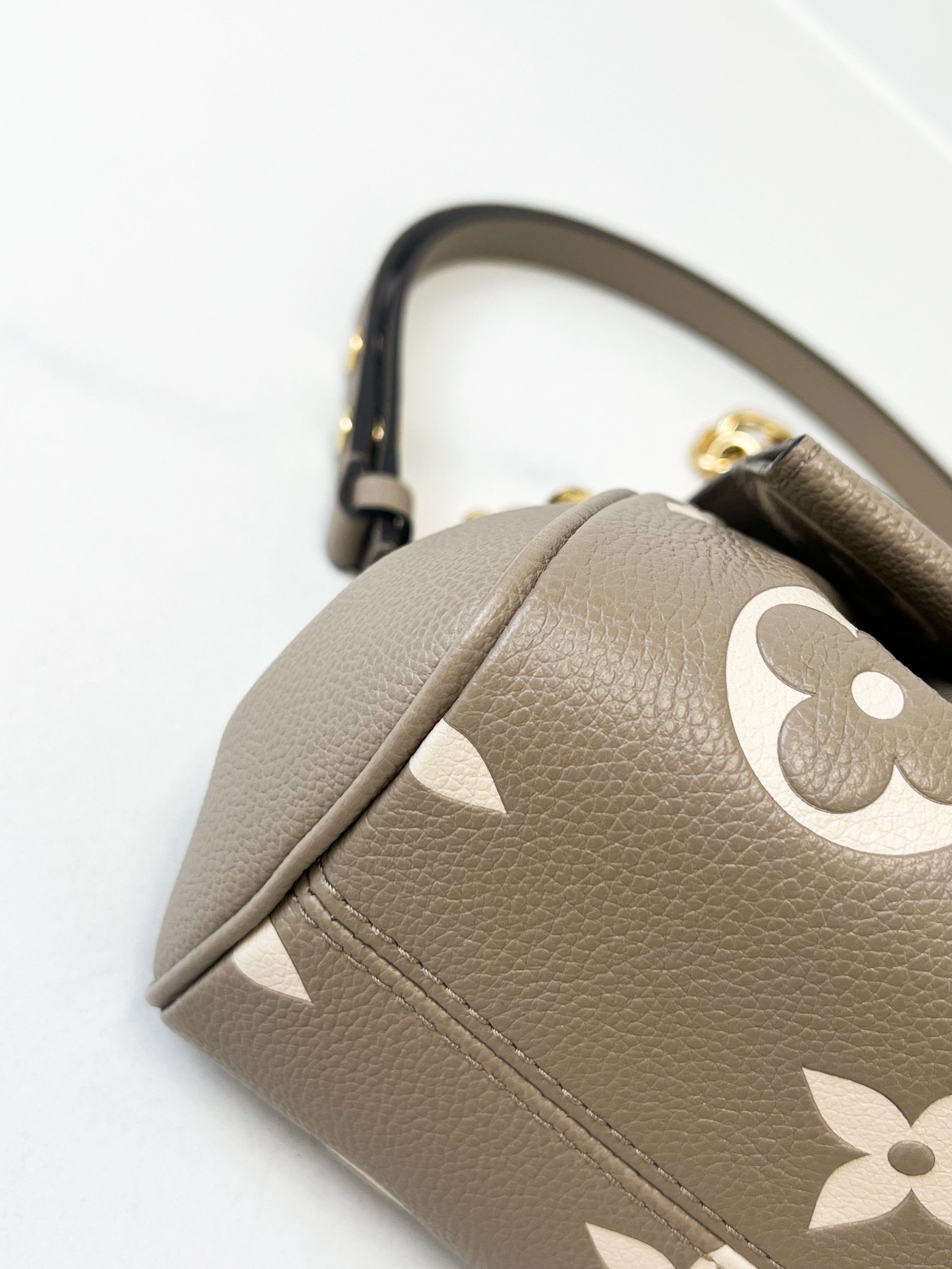 Louis Vuitton Favourite MM Monogram Canvas