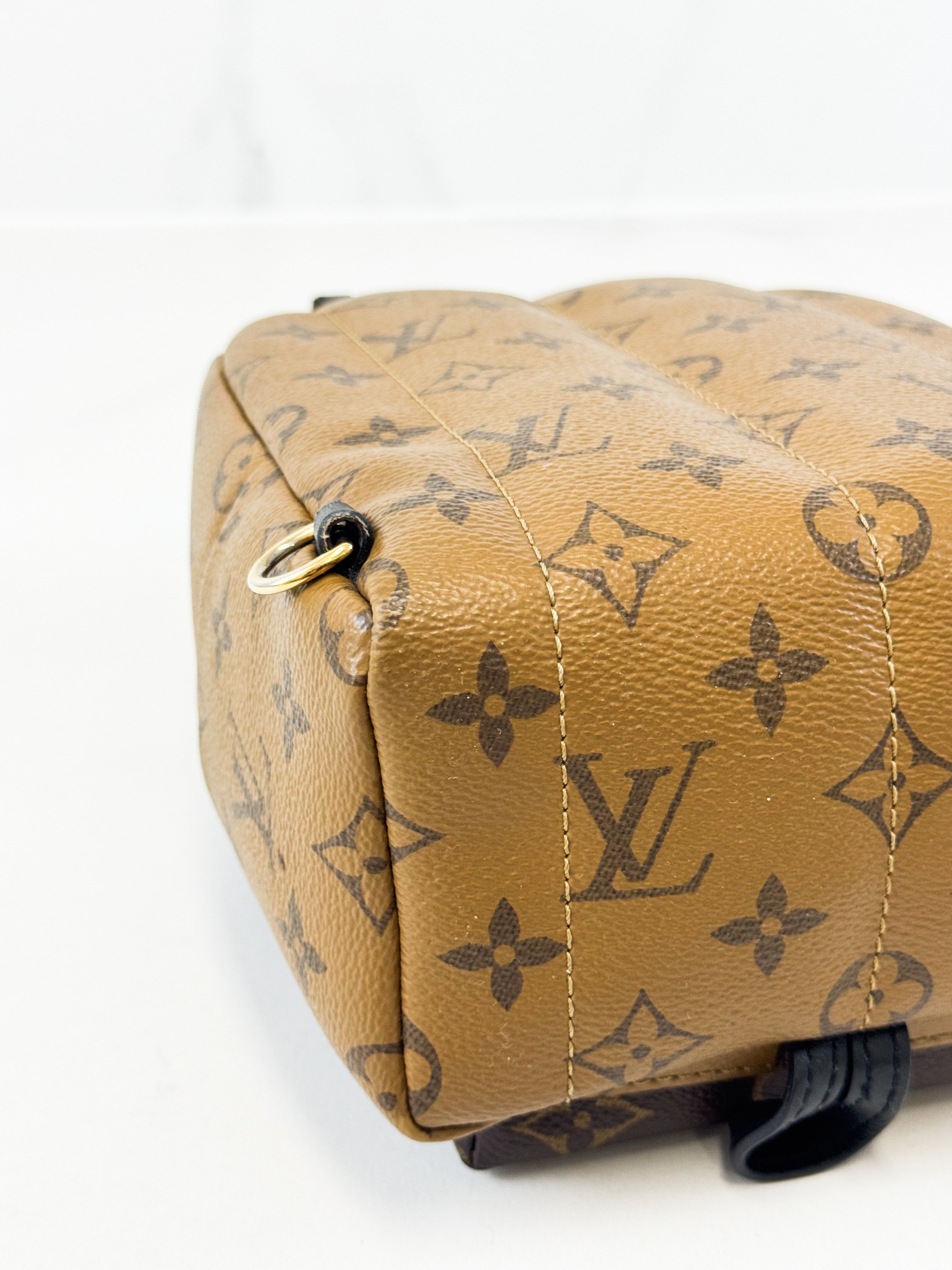 Louis Vuitton Reverse Palm Springs Mini Backpack