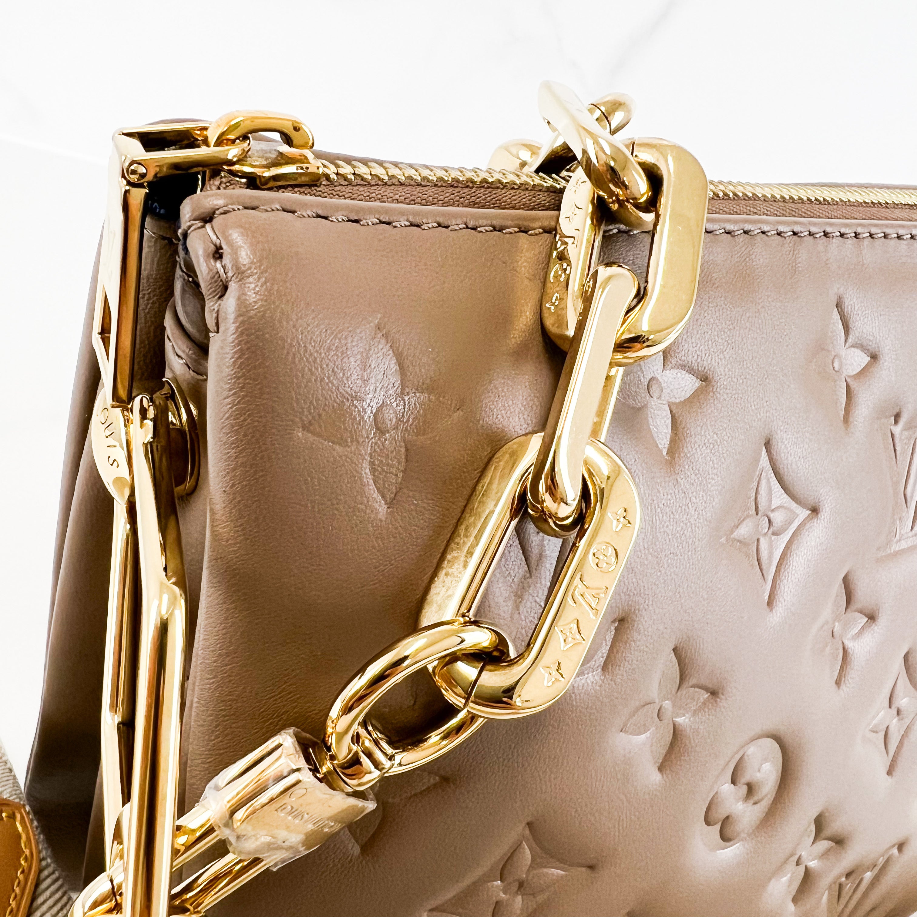 Louis Vuitton Coussin PM