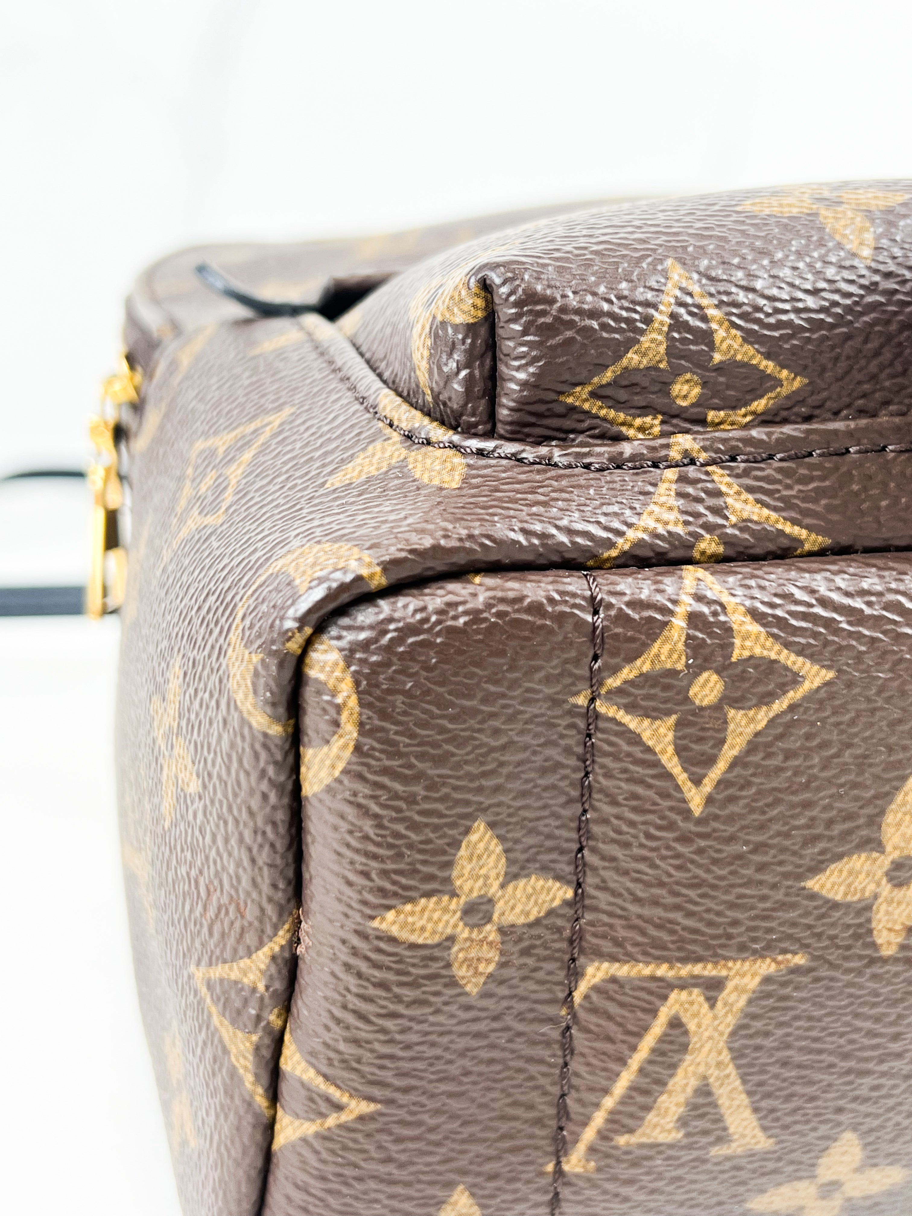 Louis Vuitton Palm Springs Mini